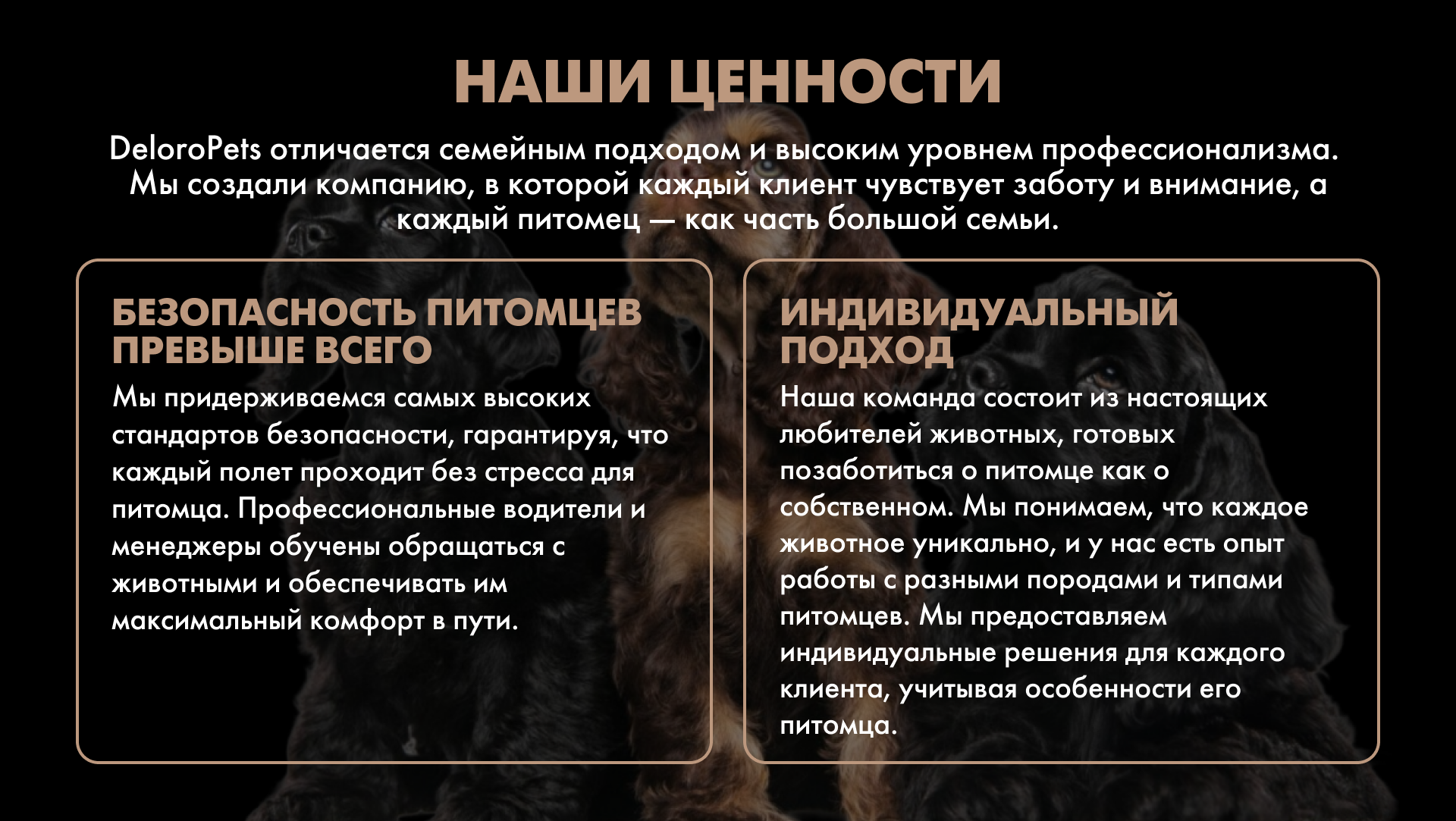 DELOROPETS — Изображение №3 — Интерфейсы, Брендинг на Dprofile