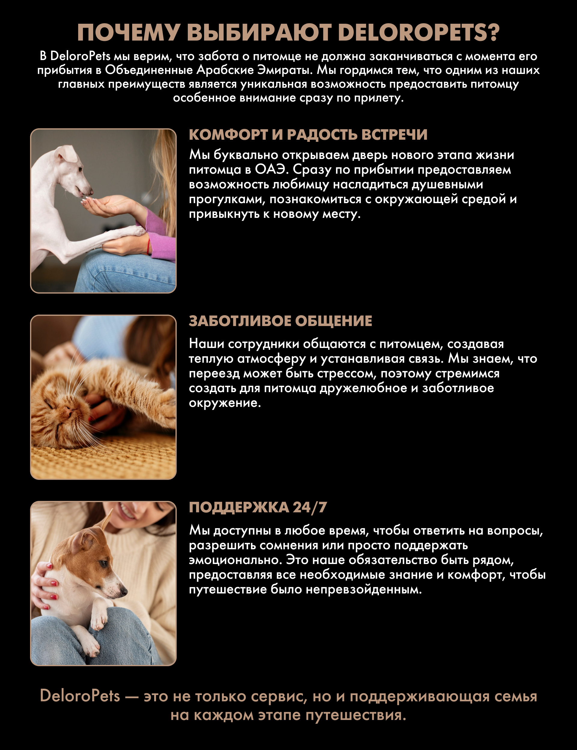DELOROPETS — Изображение №5 — Интерфейсы, Брендинг на Dprofile