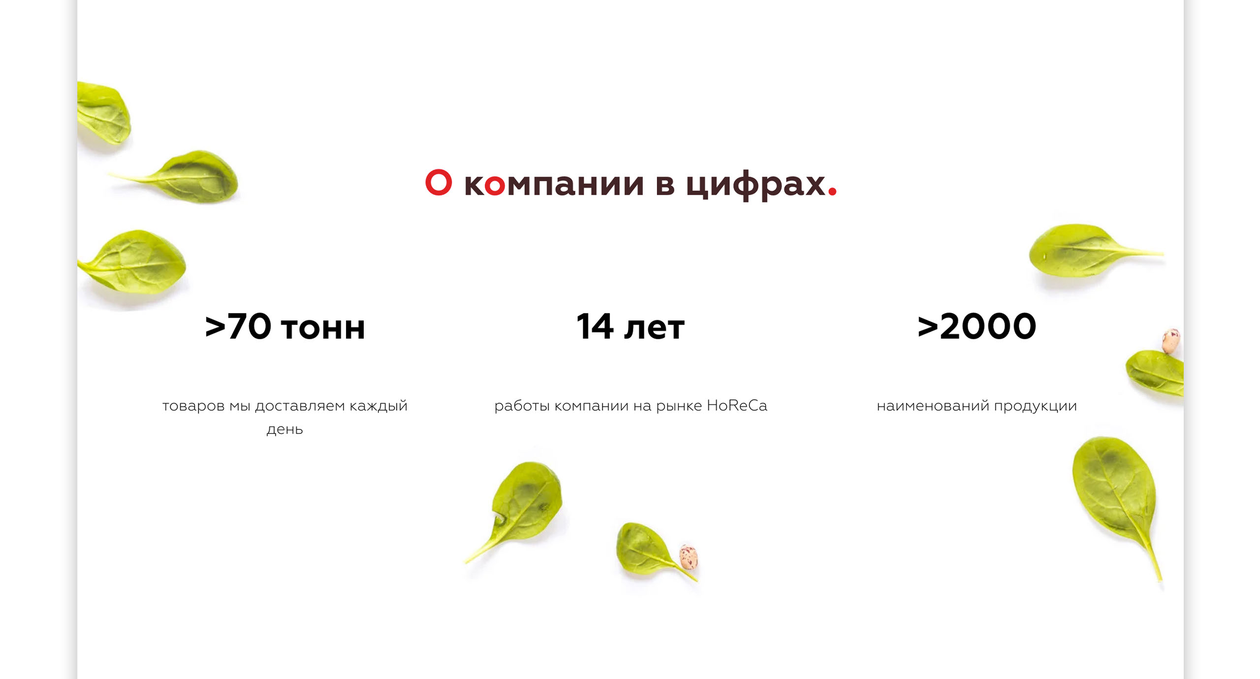 Лендинг для поставщика продуктов в сфере HoReCa — Изображение №10 — Интерфейсы на Dprofile
