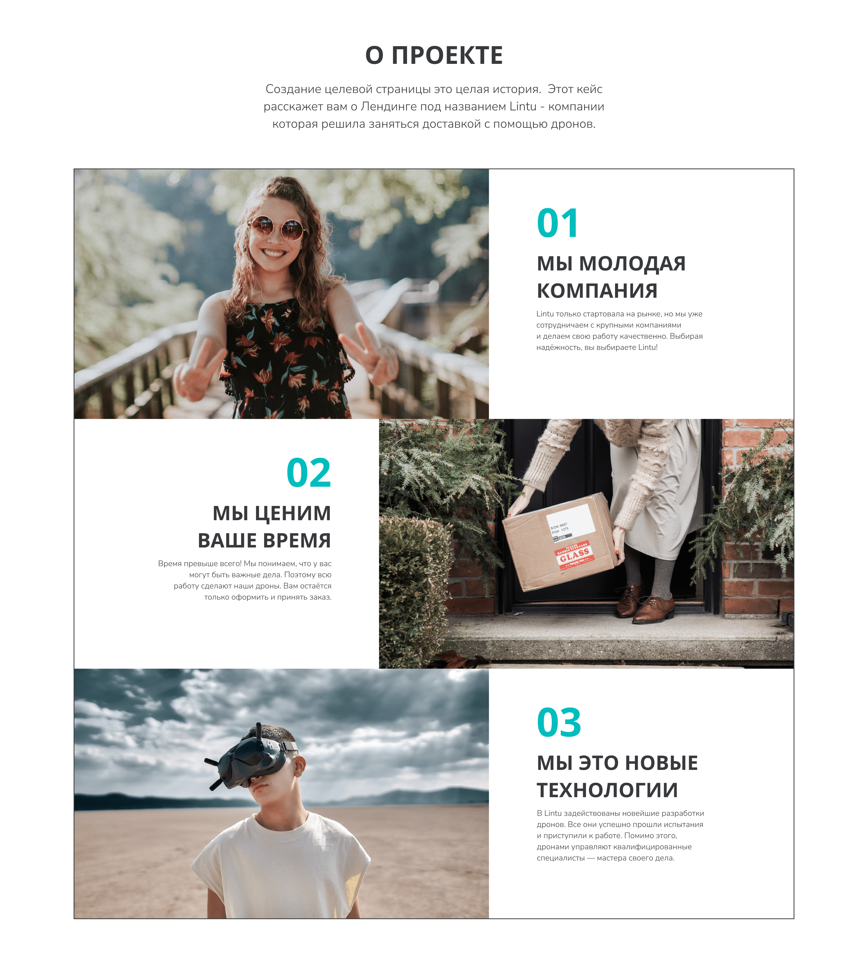 Lintu delivery | Landing page — Изображение №2 — Интерфейсы, Брендинг на Dprofile