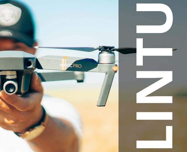 Lintu delivery | Landing page на Dprofile