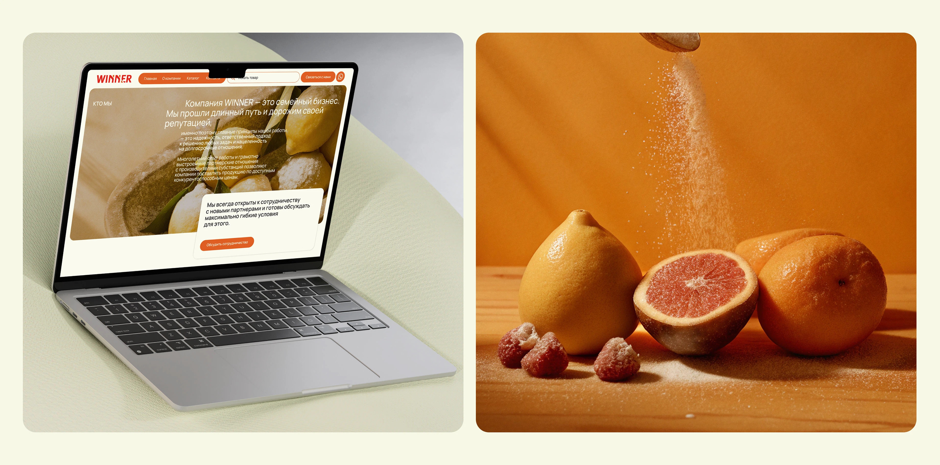 Winner / E-commerce / UX/UI Design — Изображение №7 — Интерфейсы на Dprofile