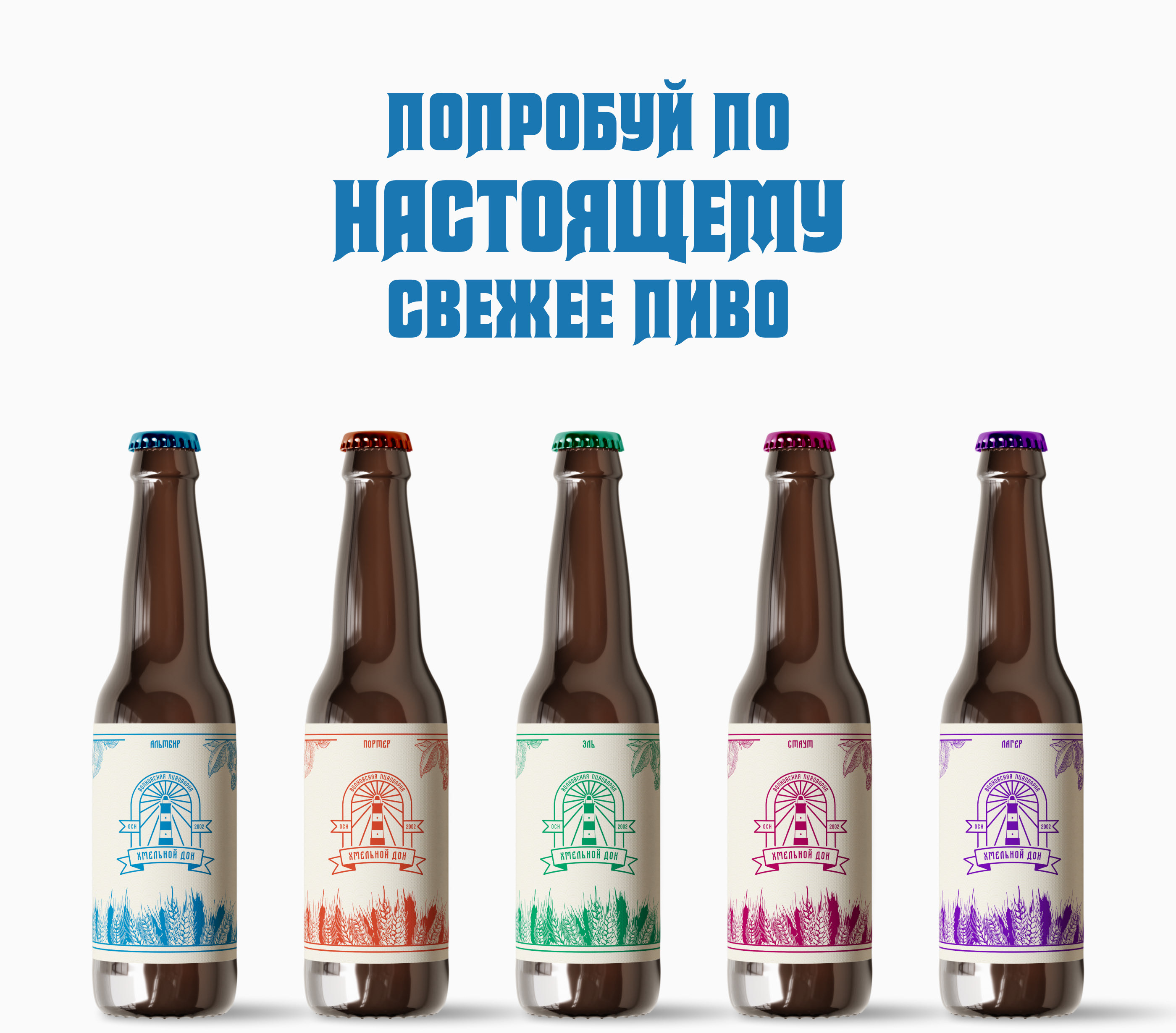 Хмельной дон — Изображение №1 — Брендинг, Графика на Dprofile