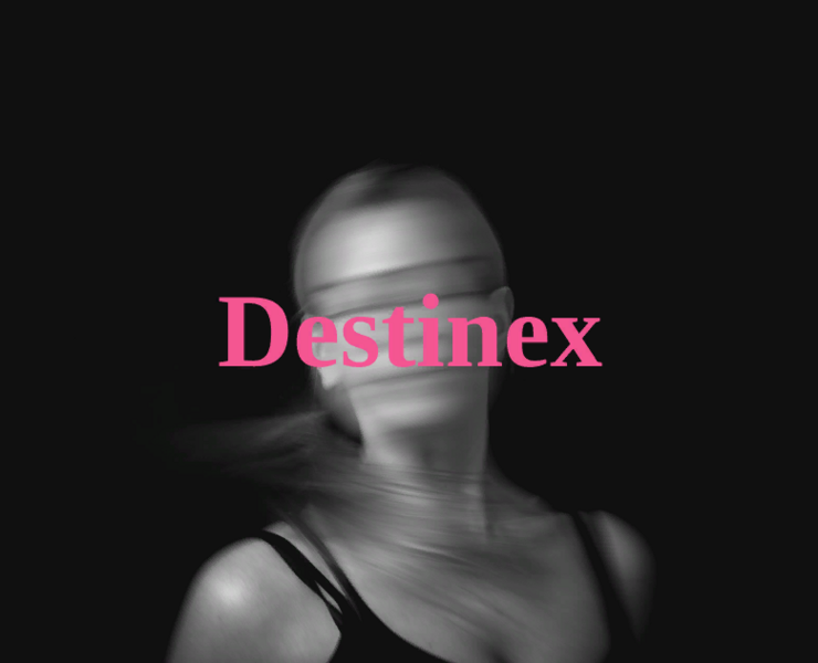 Destinex — Интерфейсы на Dprofile