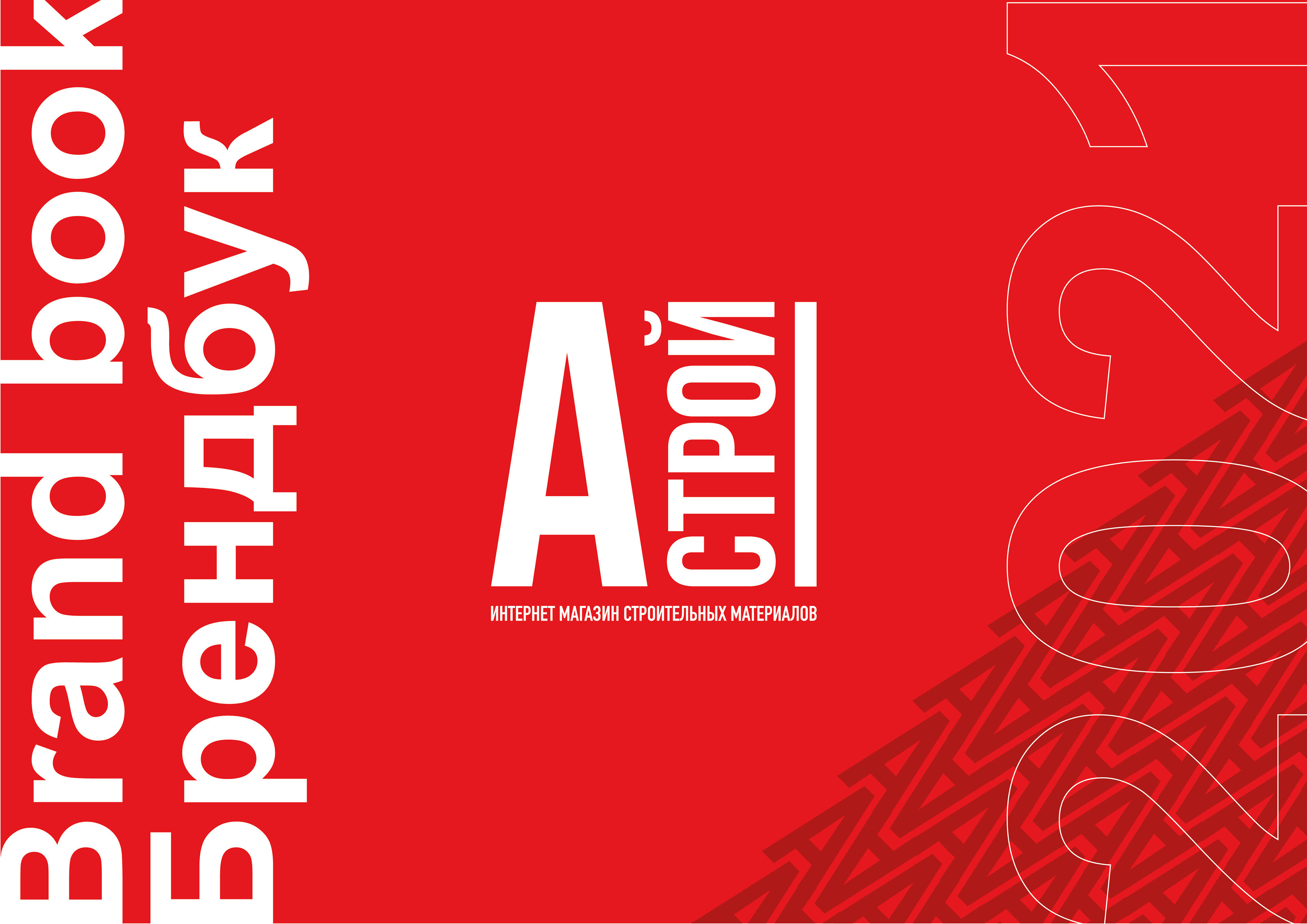 Brand book Astroy — Изображение №1 — Брендинг на Dprofile