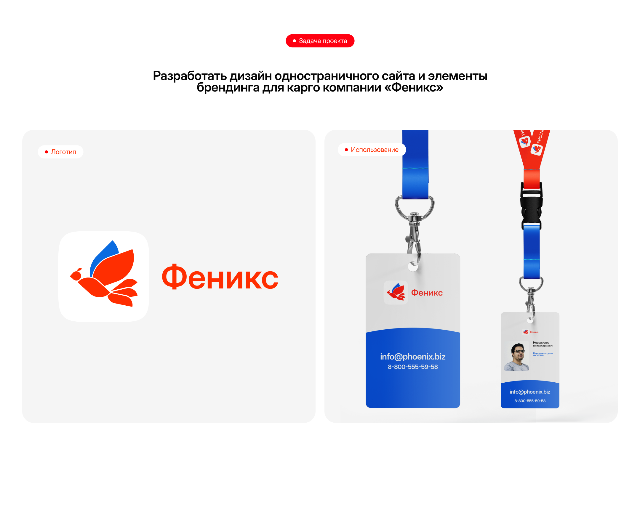 Феникс — бизнес с Китаем под ключ — Изображение №2 — Интерфейсы, Брендинг на Dprofile