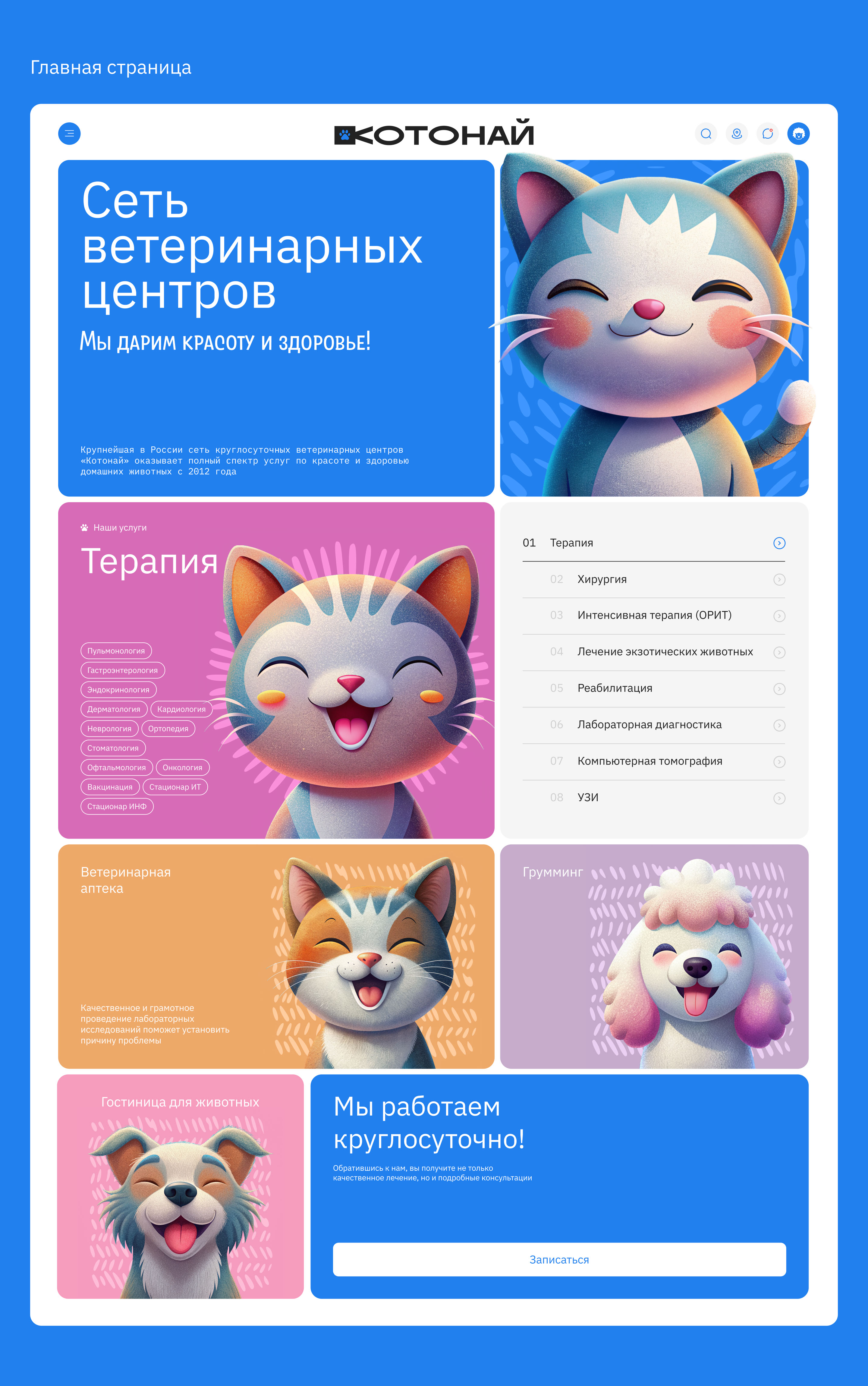 Котонай | Сеть ветеринарных центров — Изображение №2 — Интерфейсы, Брендинг на Dprofile