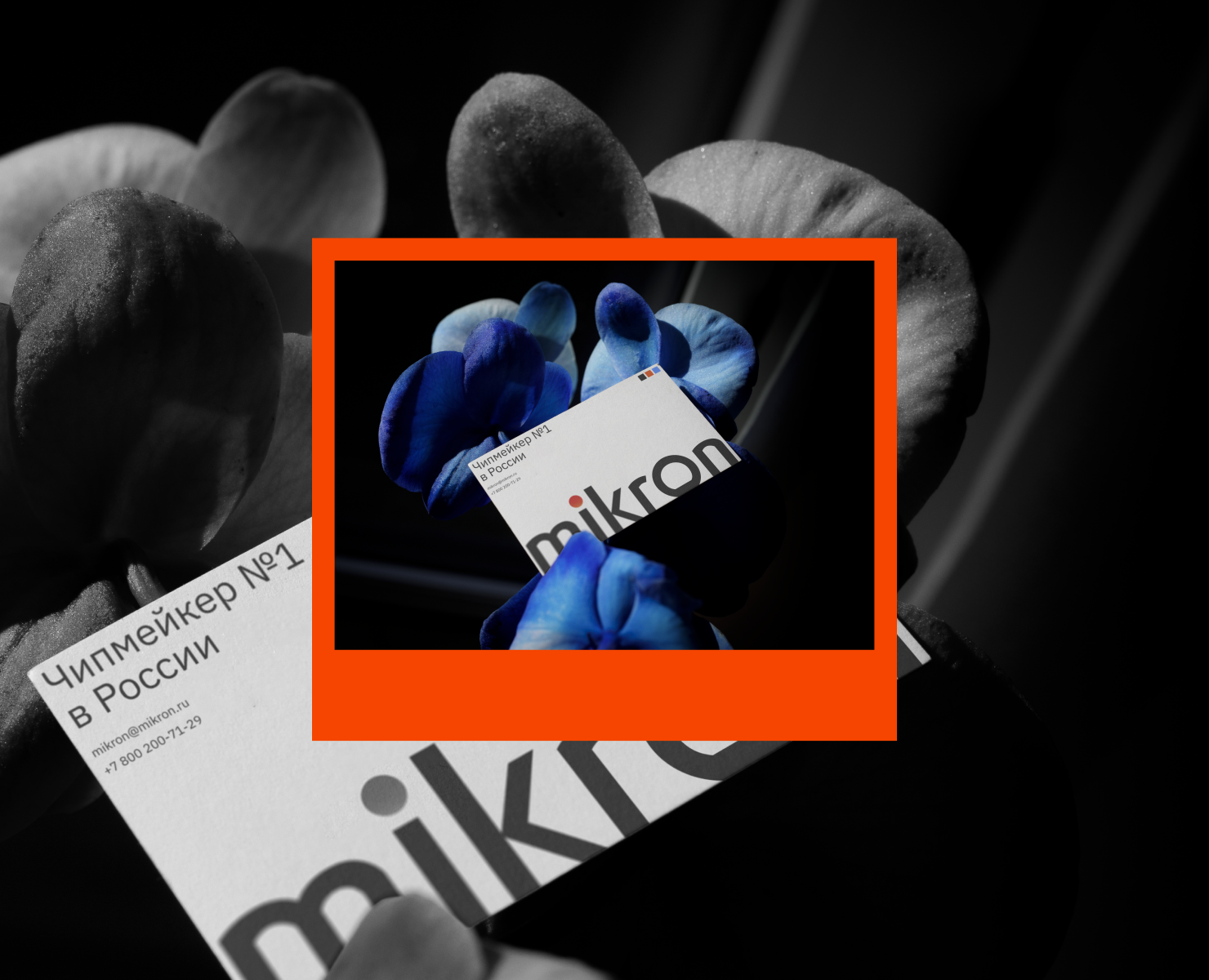Микроэлектронная продукция — Интерфейсы на Dprofile