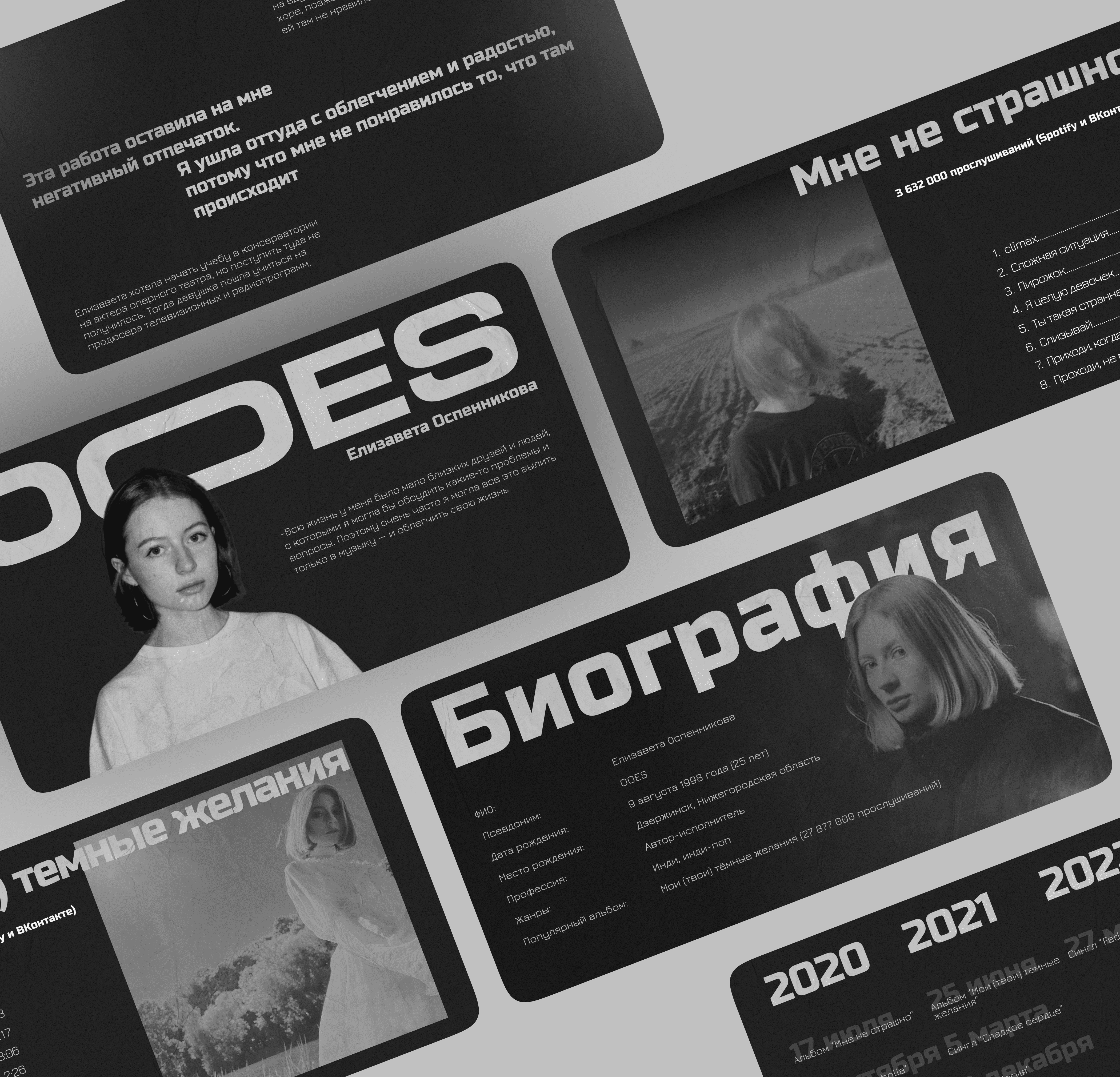 Дизайн презентации для музыкального исполнителя — Изображение №1 — Брендинг, Графика на Dprofile