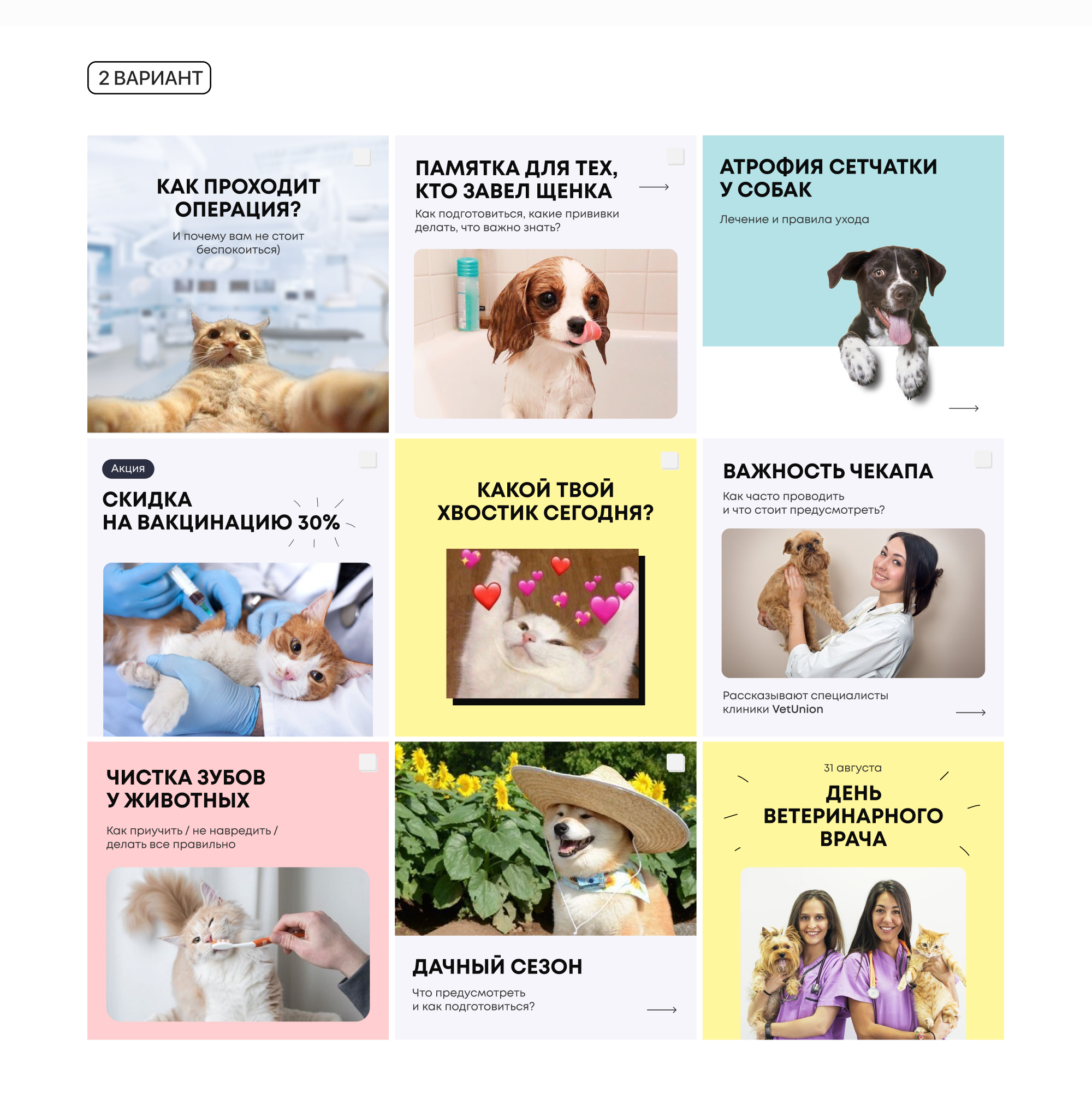 Social media / vet — Изображение №5 — Брендинг, Графика на Dprofile
