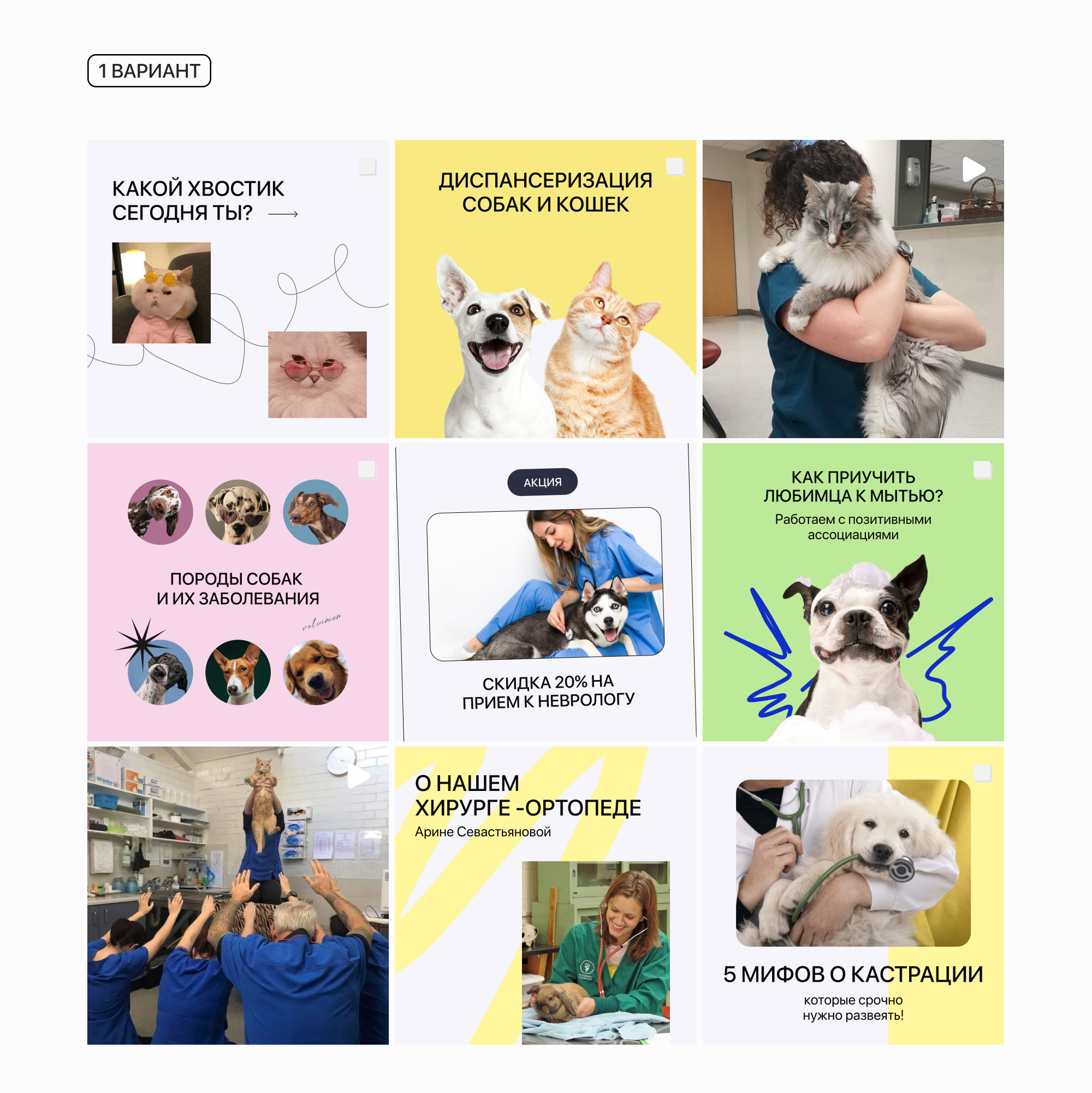 Social media / vet — Изображение №4 — Брендинг, Графика на Dprofile