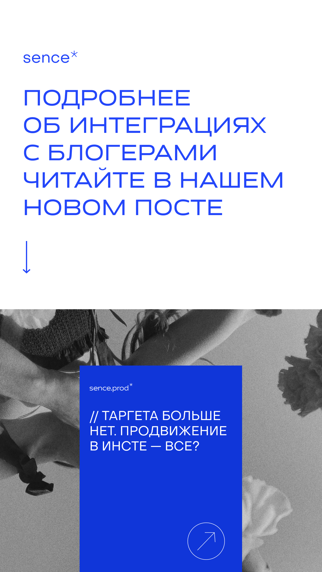 Social media design / agency — Изображение №24 — Брендинг, Графика на Dprofile