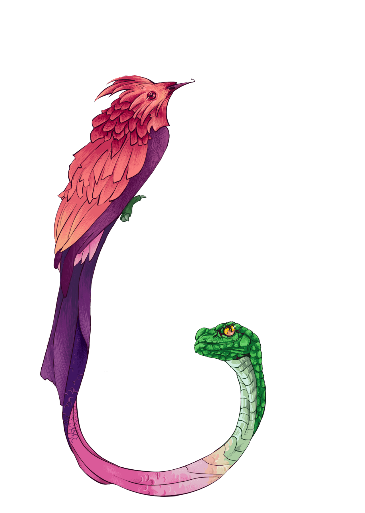 Birds — Изображение №1 — Иллюстрация, Графика на Dprofile