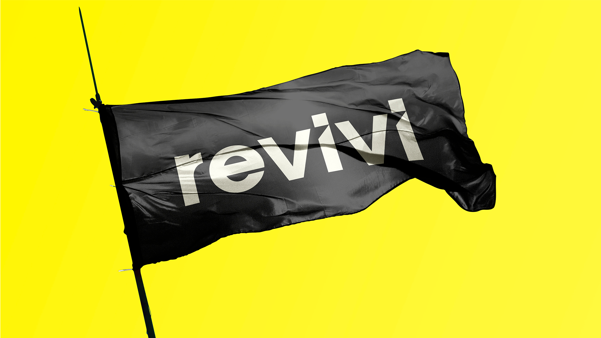 Revivi — Изображение №1 — Брендинг, Графика на Dprofile