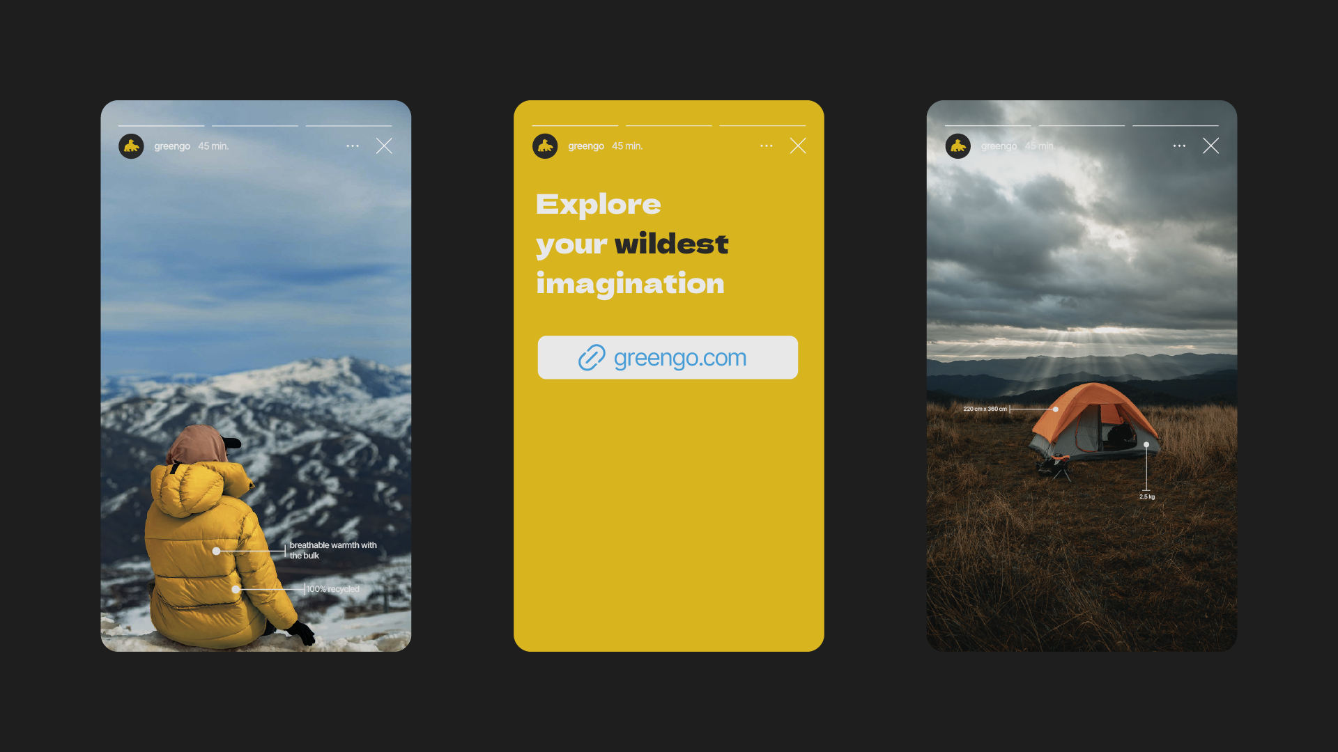 GREENGO | иллюстративный логотип — Изображение №10 — Брендинг, Графика на Dprofile