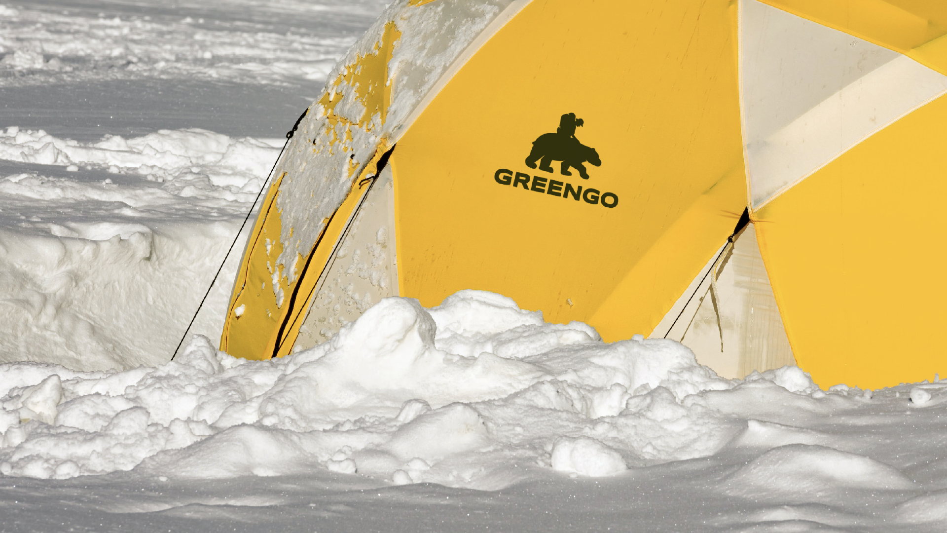 GREENGO | иллюстративный логотип — Изображение №7 — Брендинг, Графика на Dprofile