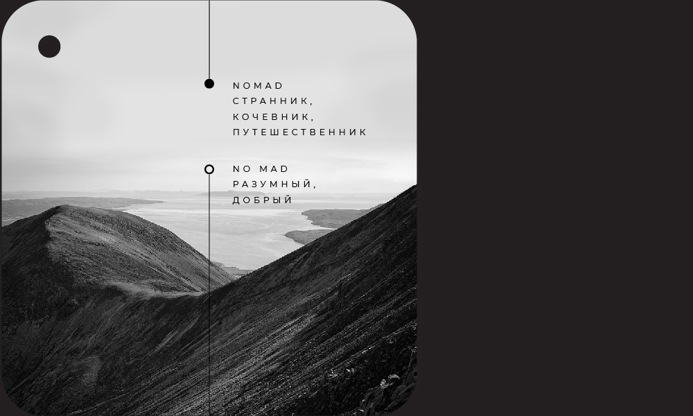 no mad people — Изображение №2 — Брендинг, Графика на Dprofile