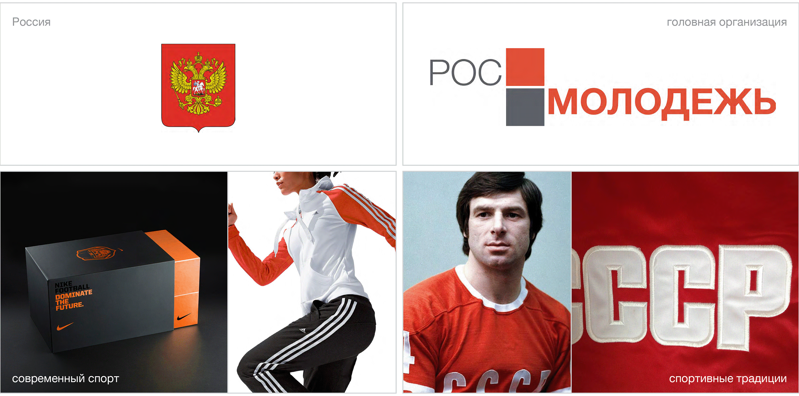 Спорт РосМол — Изображение №1 — Брендинг, Графика на Dprofile