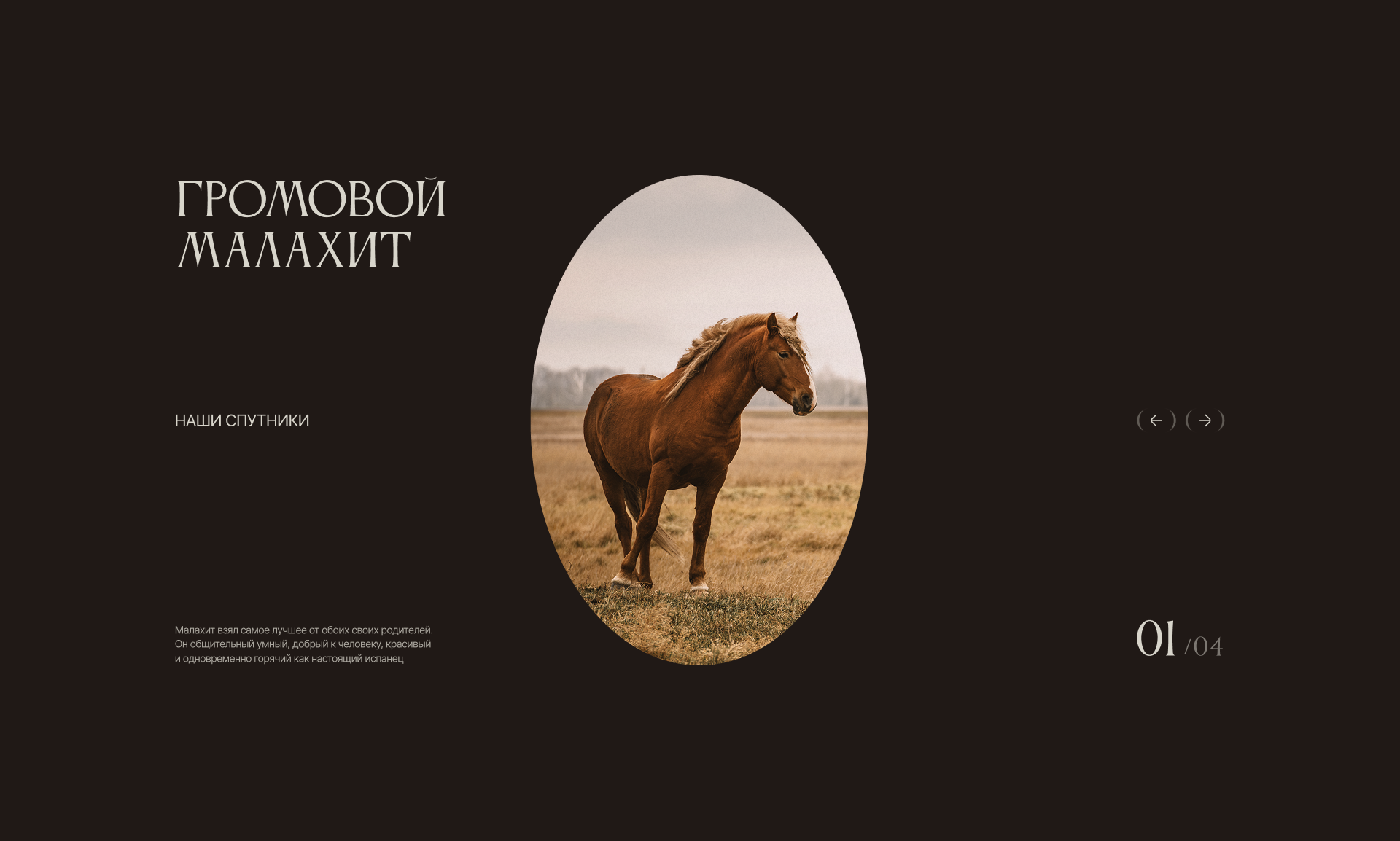 Конный клуб NORDWIND — Изображение №6 — Интерфейсы, Брендинг на Dprofile