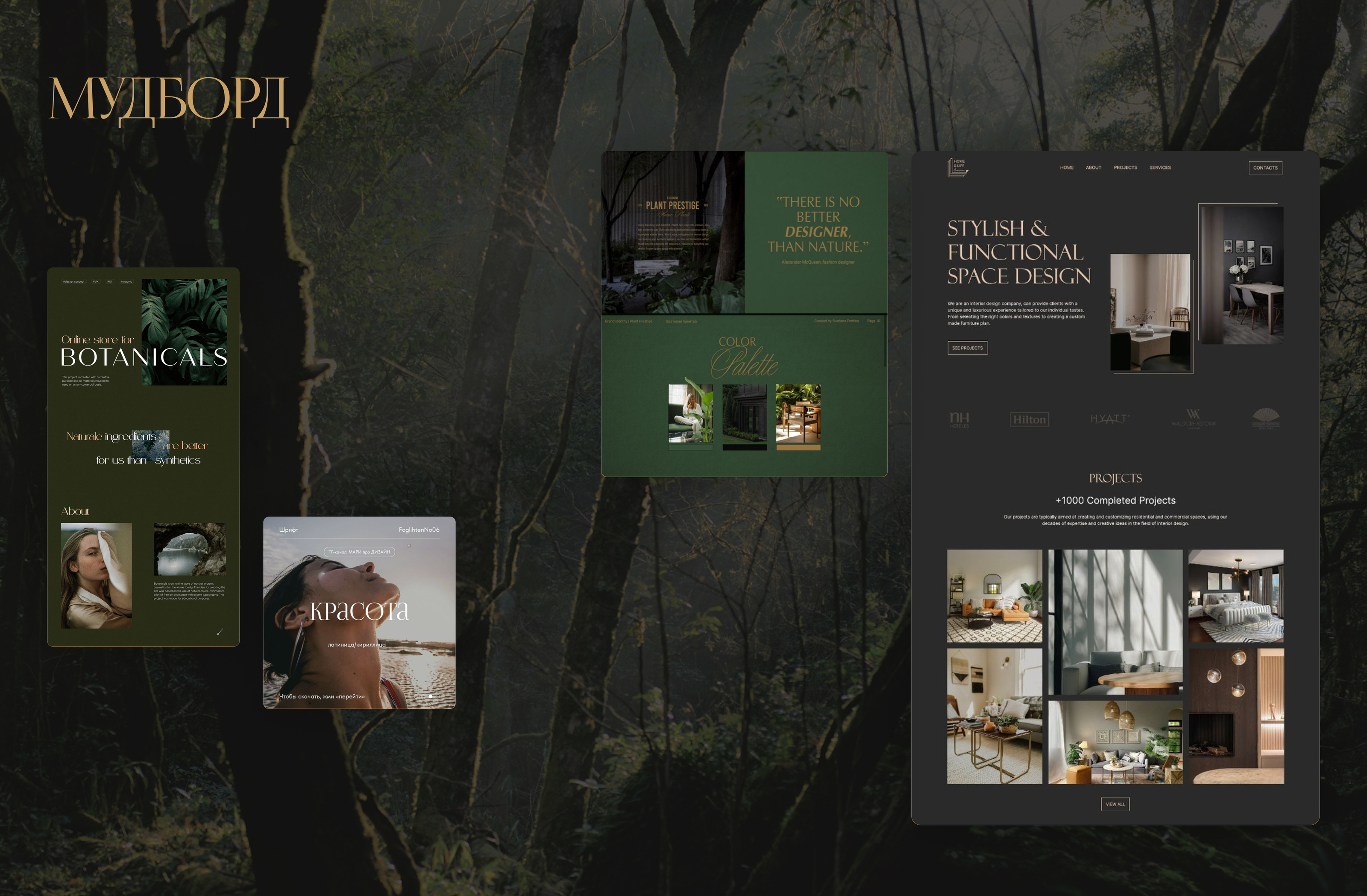 Foresta — Изображение №2 — Интерфейсы на Dprofile