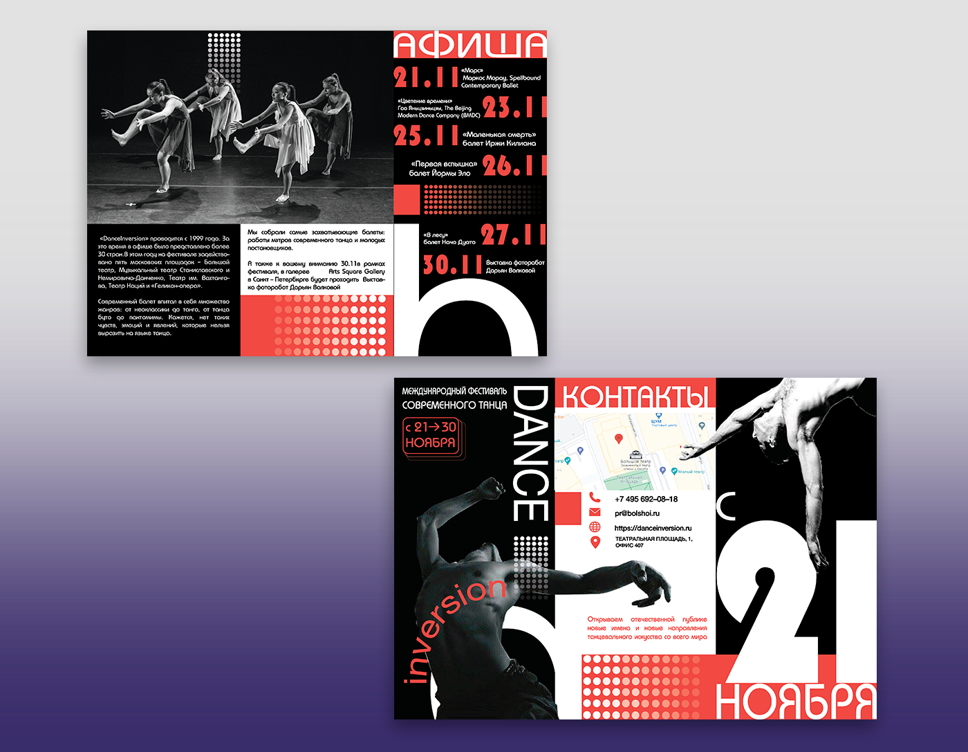 Календарь и серия буклетов "Danceinversion" — Изображение №11 — Брендинг, Графика на Dprofile