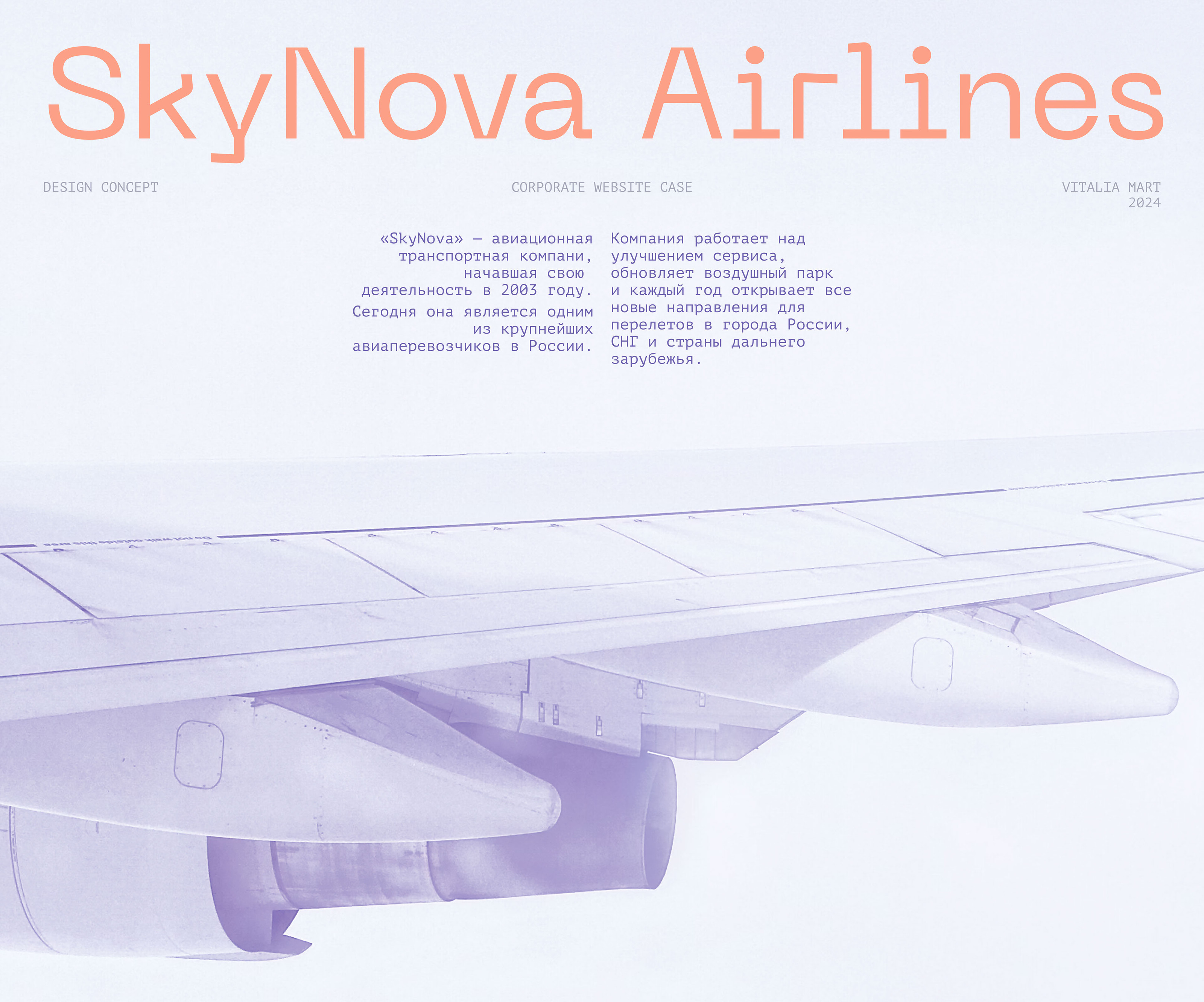 Airlines SkyNova. Corporate website — Изображение №1 — Интерфейсы на Dprofile