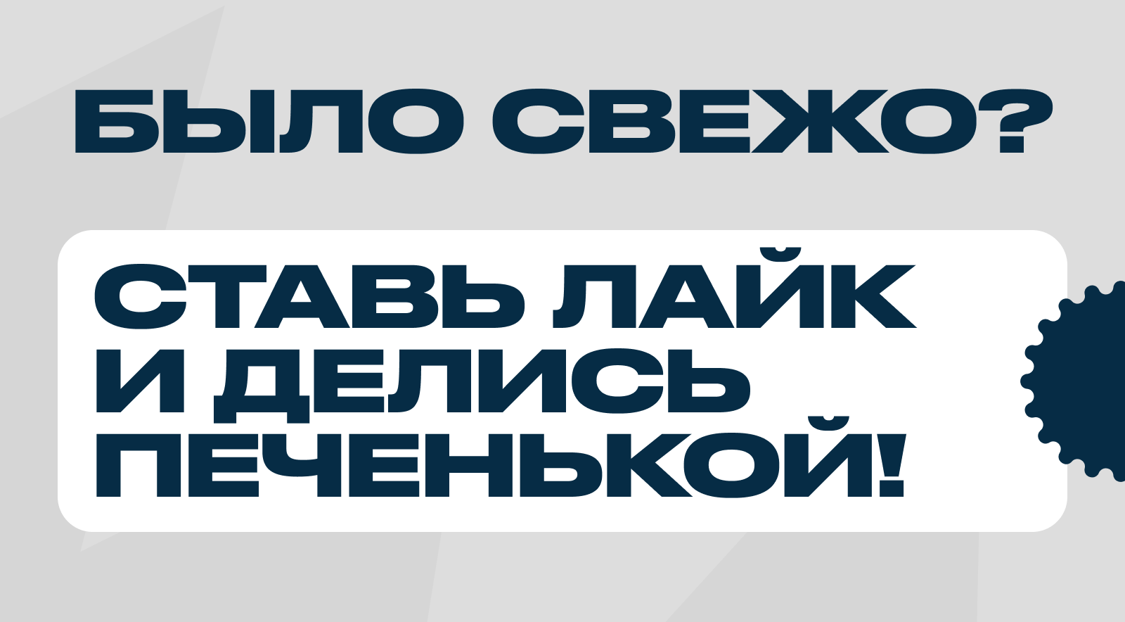 ИВОЛГА — Лёгкие походы в горы — Изображение №6 — Интерфейсы, Брендинг на Dprofile