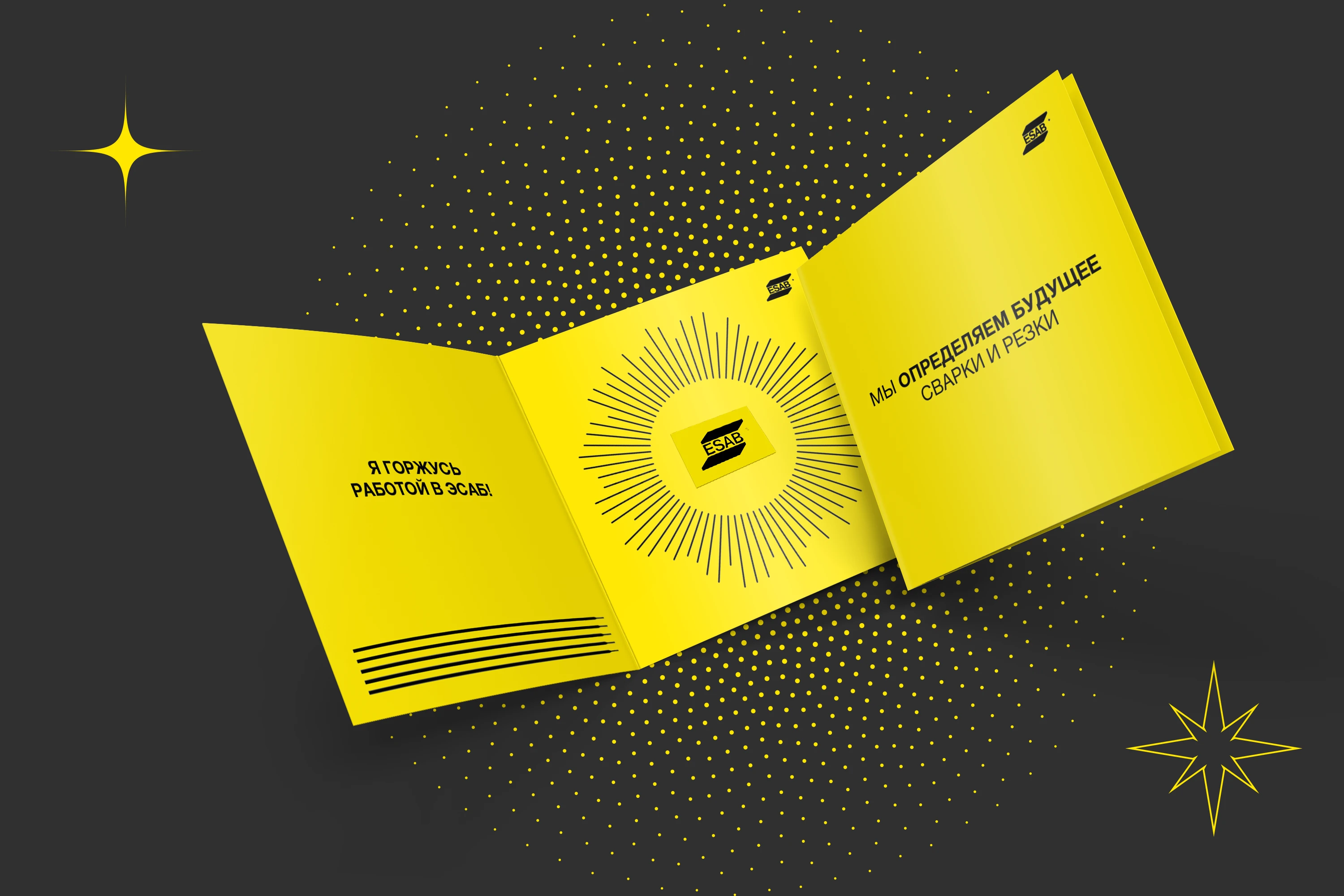 ESAB | Дизайн-сопровождение — Изображение №4 — Брендинг, Анимация на Dprofile