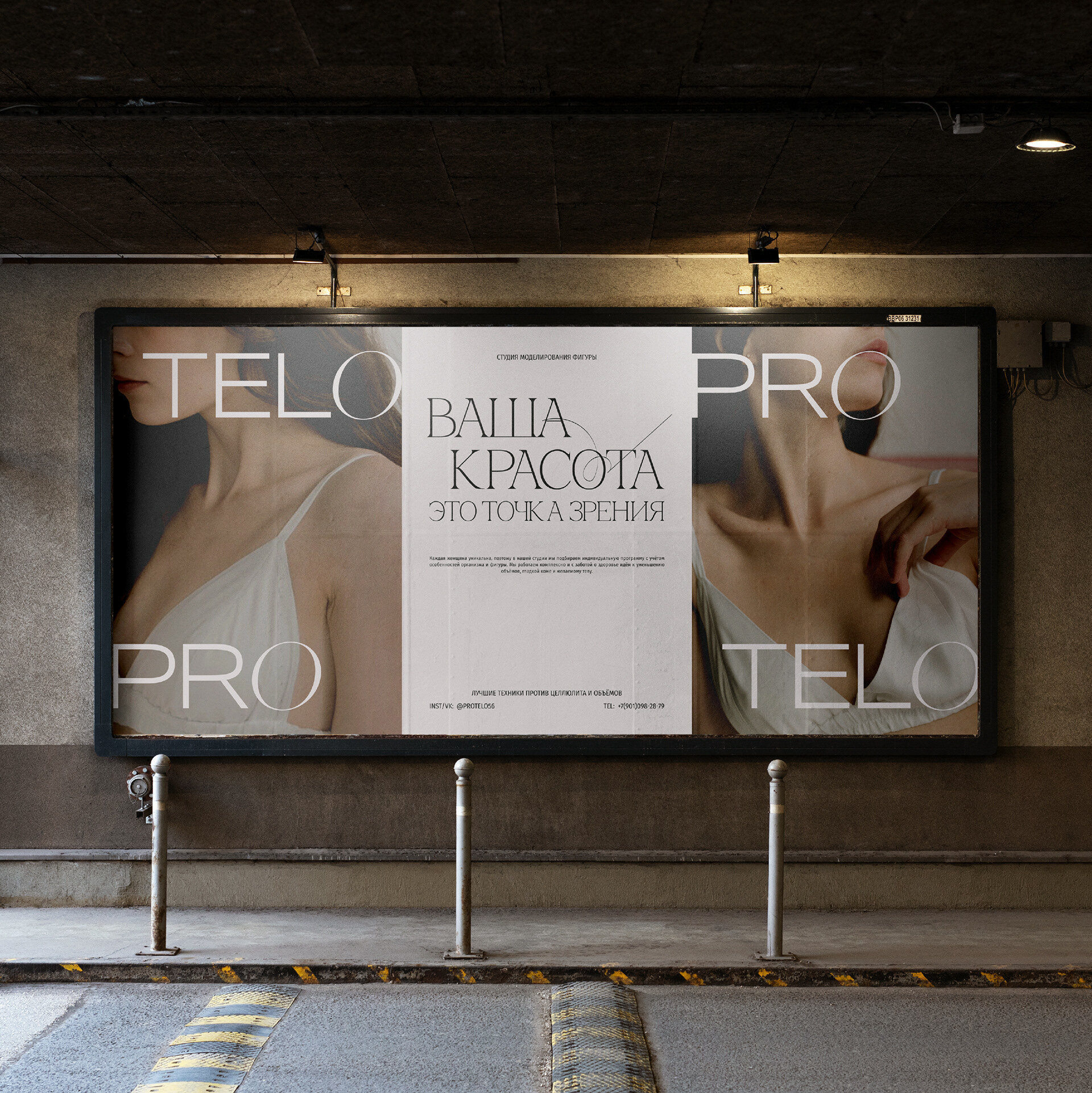 ProTelo — Изображение №1 — Брендинг, Графика на Dprofile