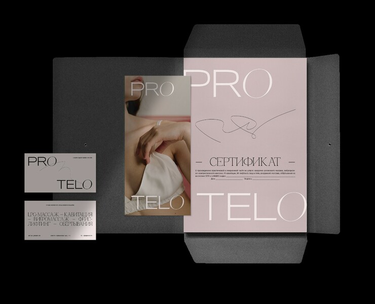 ProTelo — Брендинг, Графика на Dprofile