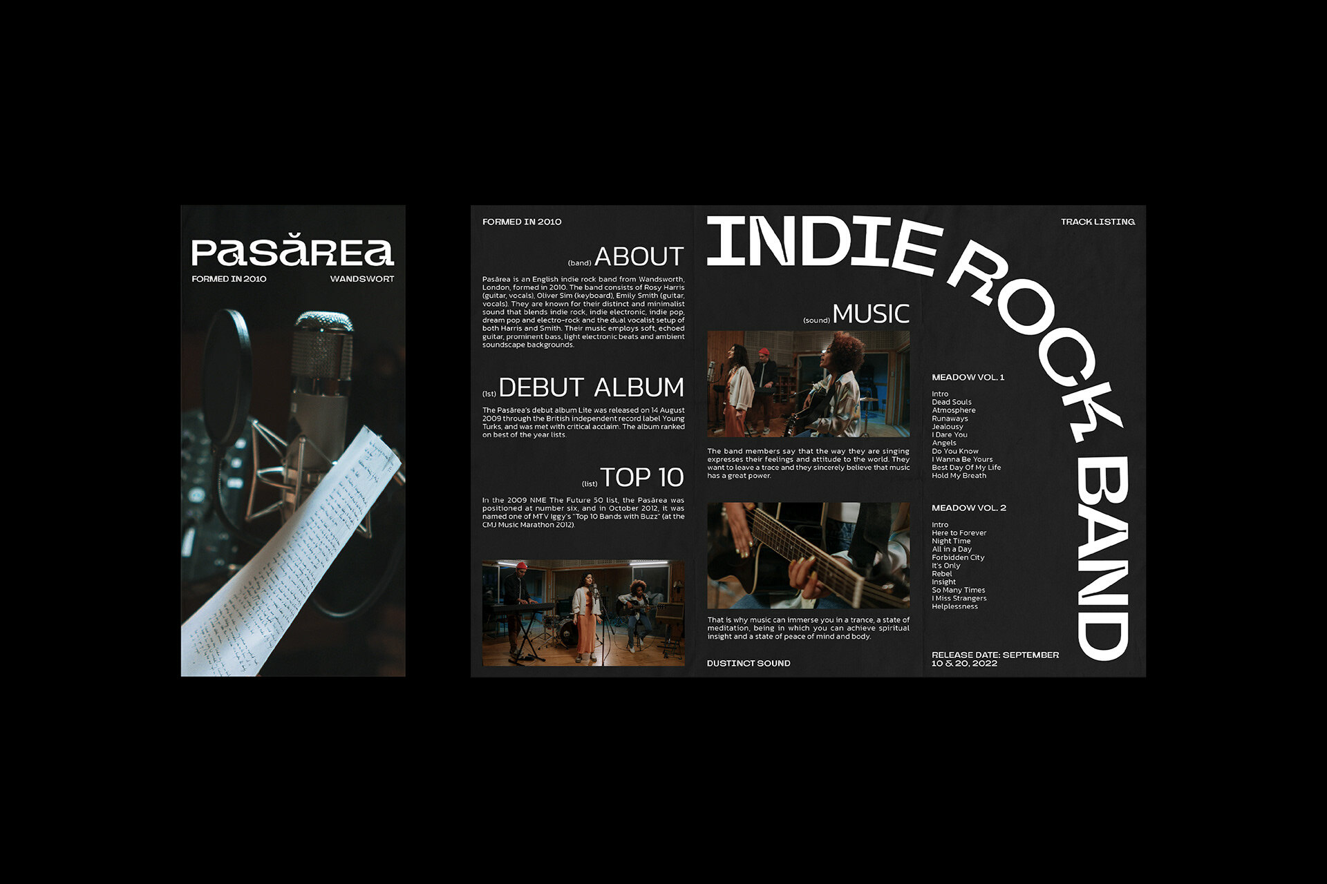 PASĂREA MUSIC BAND — Изображение №7 — Брендинг, Анимация на Dprofile