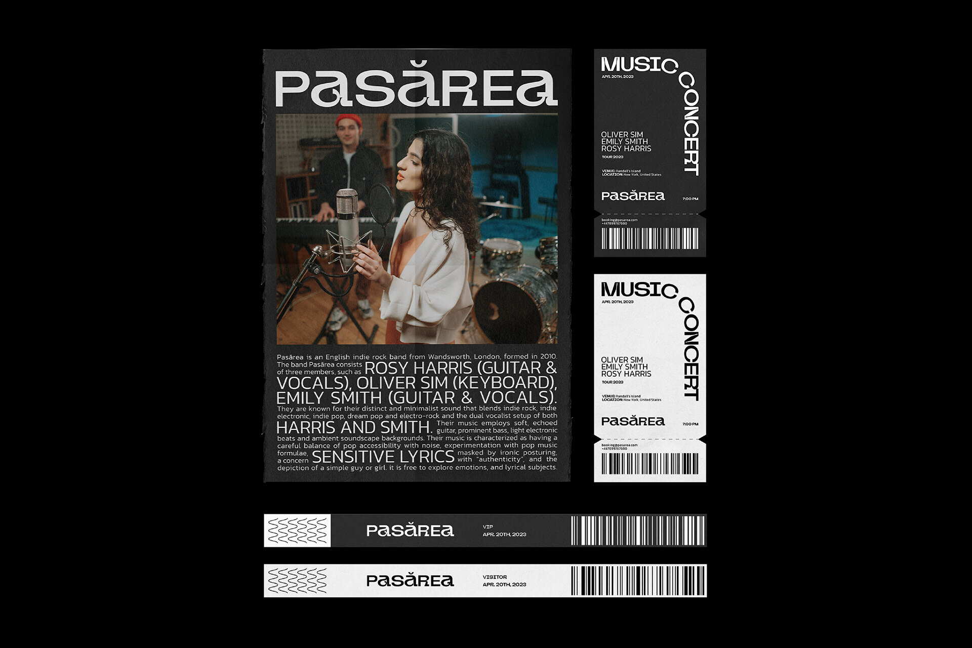 PASĂREA MUSIC BAND — Изображение №9 — Брендинг, Анимация на Dprofile