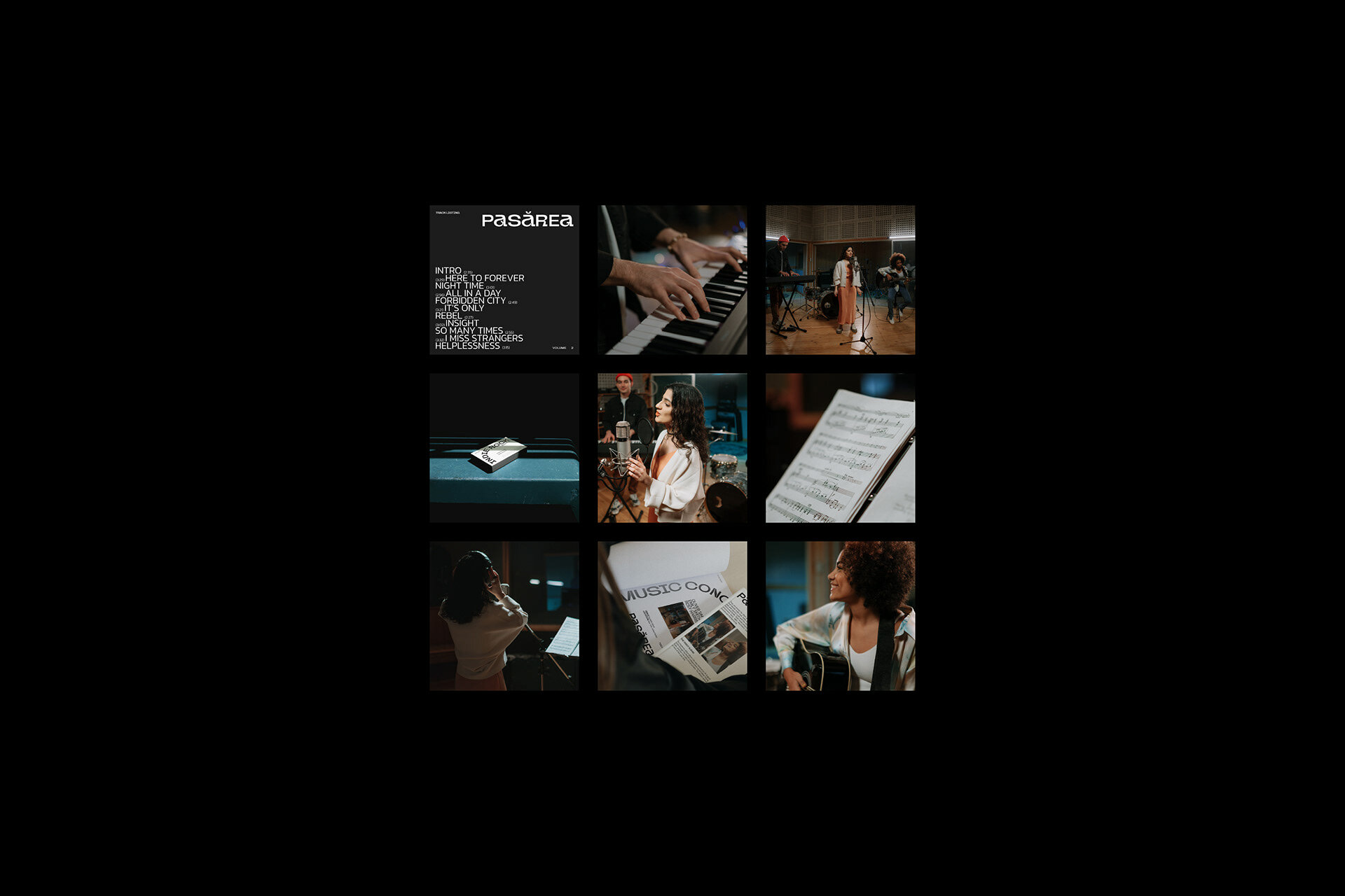 PASĂREA MUSIC BAND — Изображение №14 — Брендинг, Анимация на Dprofile