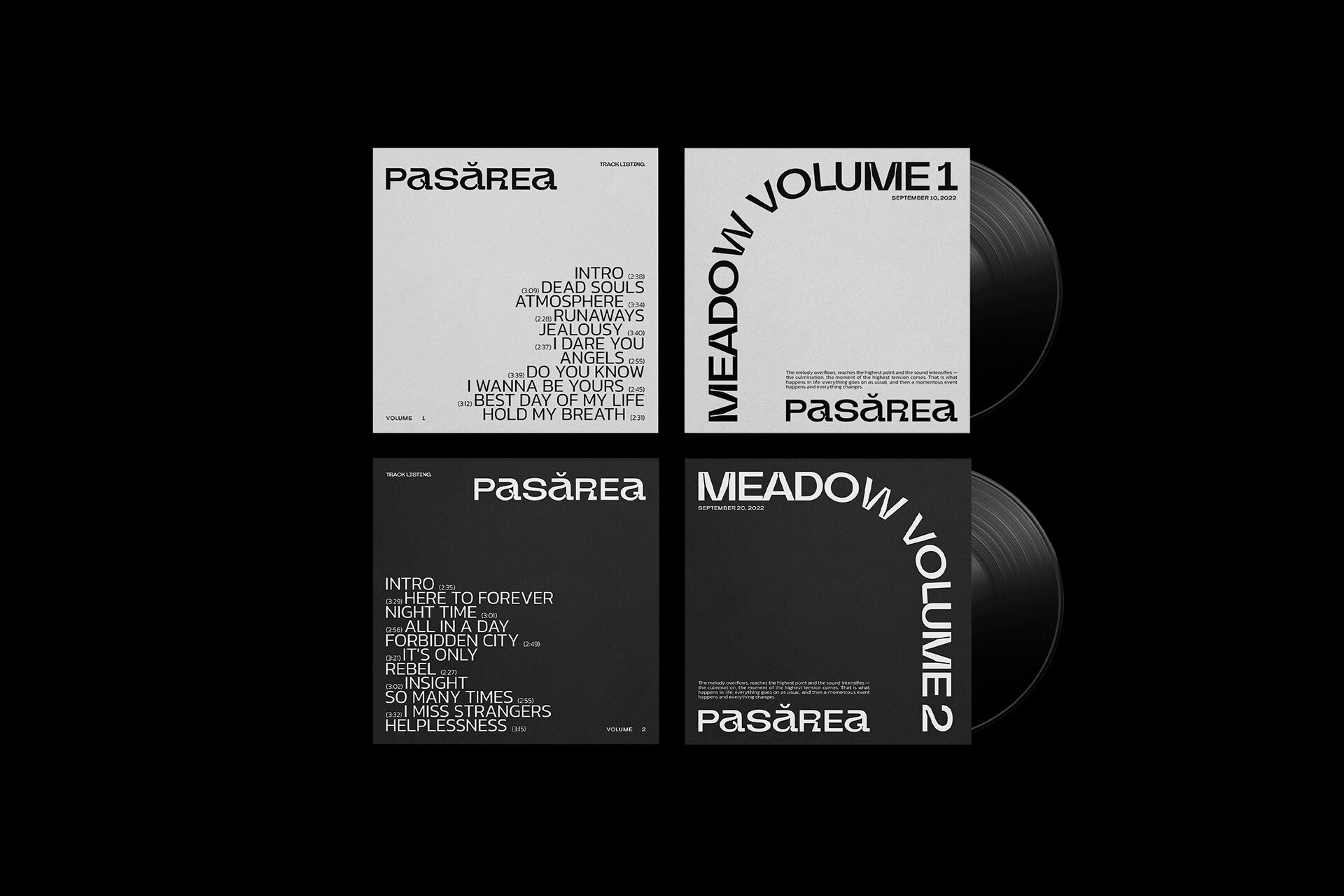 PASĂREA MUSIC BAND — Изображение №12 — Брендинг, Анимация на Dprofile