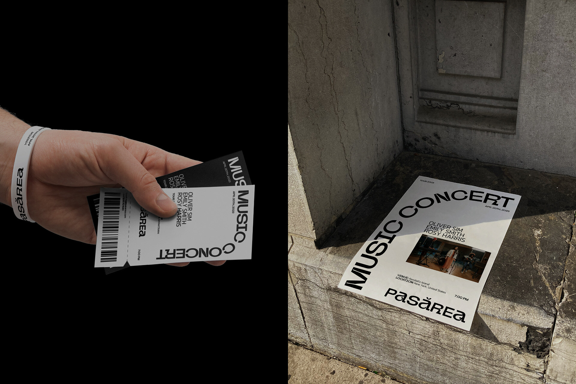 PASĂREA MUSIC BAND — Изображение №10 — Брендинг, Анимация на Dprofile