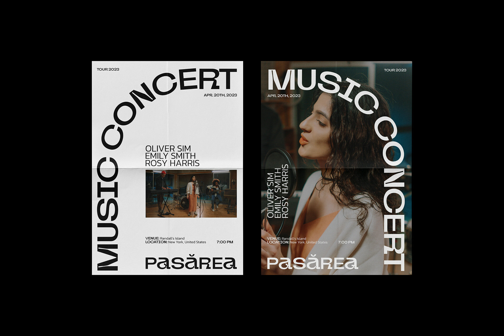 PASĂREA MUSIC BAND — Изображение №6 — Брендинг, Анимация на Dprofile