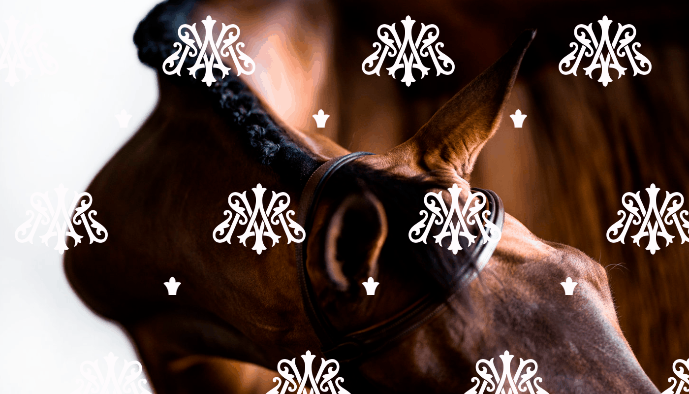 Magnifik premium chocolate | Brand identity — Изображение №6 — Брендинг на Dprofile