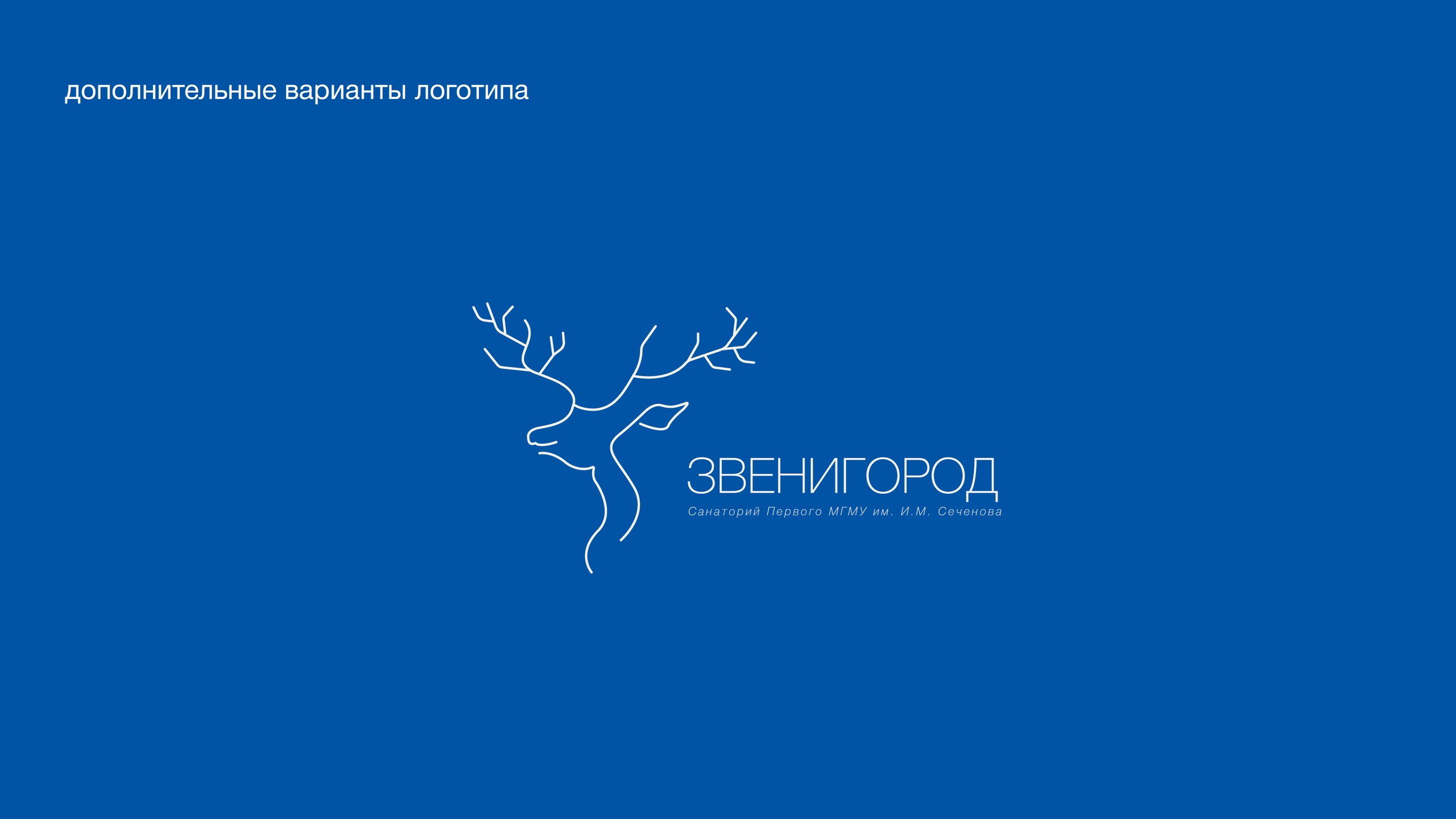 Санаторий "Звенигород" — Изображение №2 — Брендинг на Dprofile