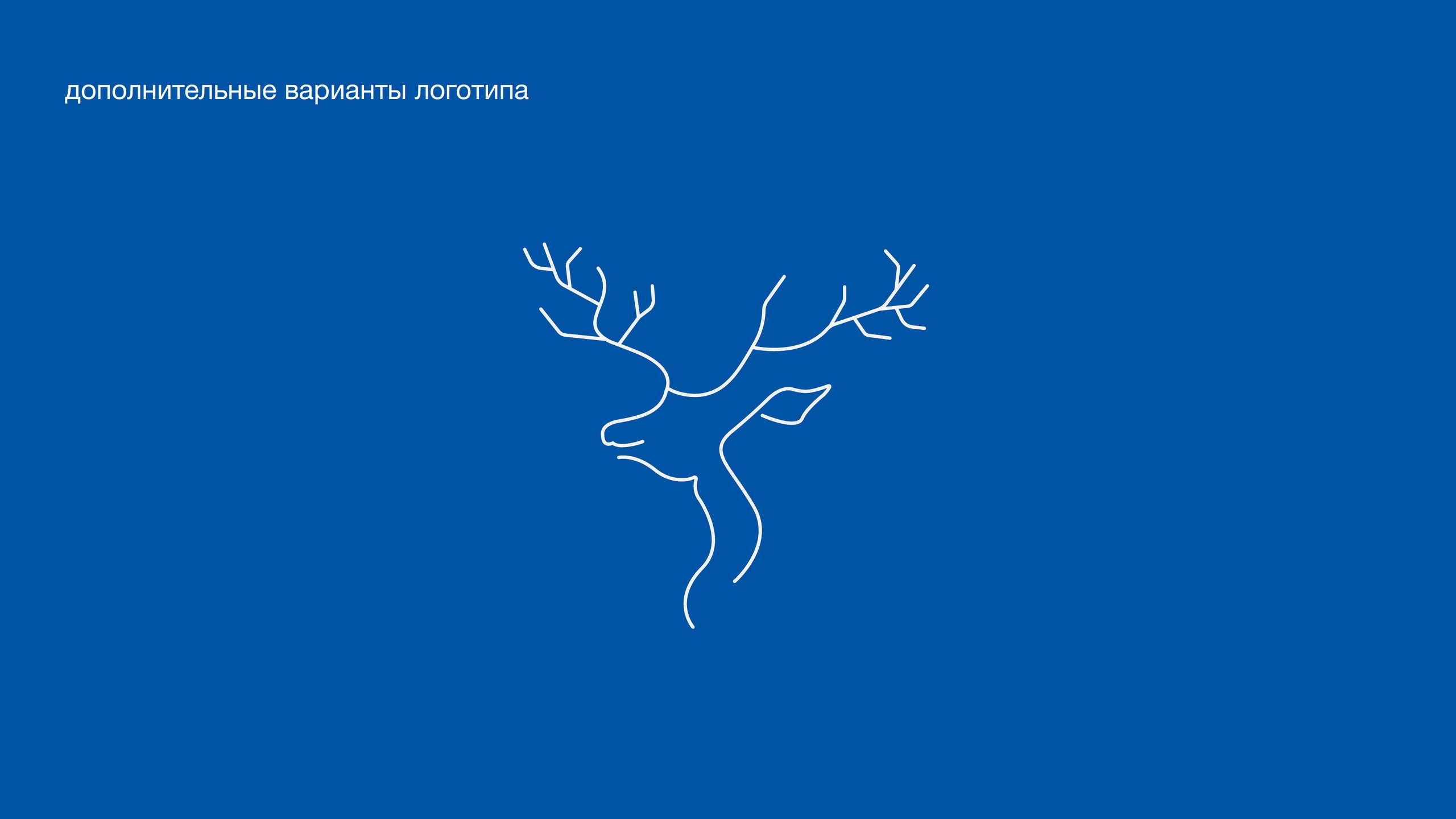 Санаторий "Звенигород" — Изображение №4 — Брендинг на Dprofile