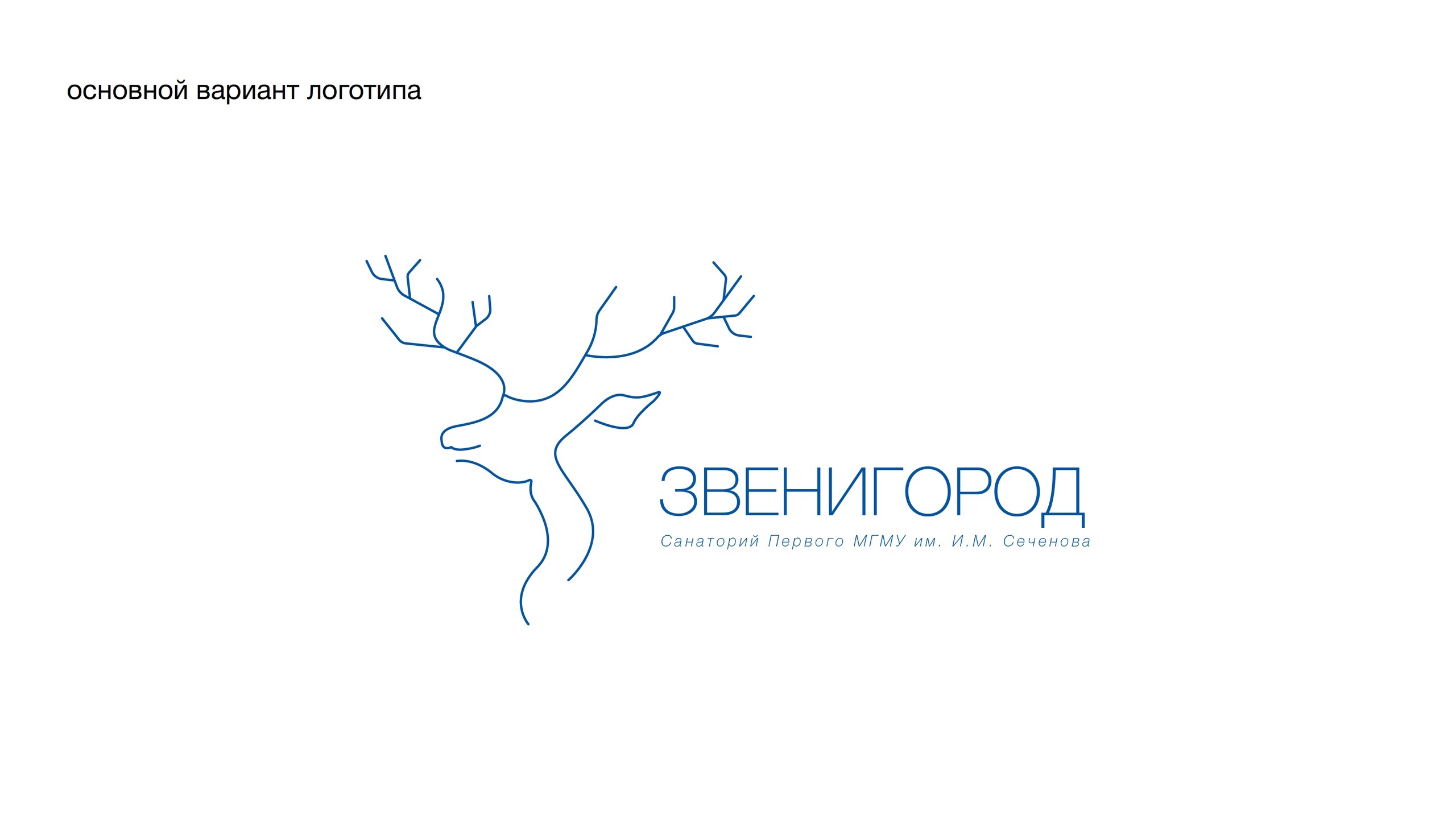 Санаторий "Звенигород" — Изображение №1 — Брендинг на Dprofile