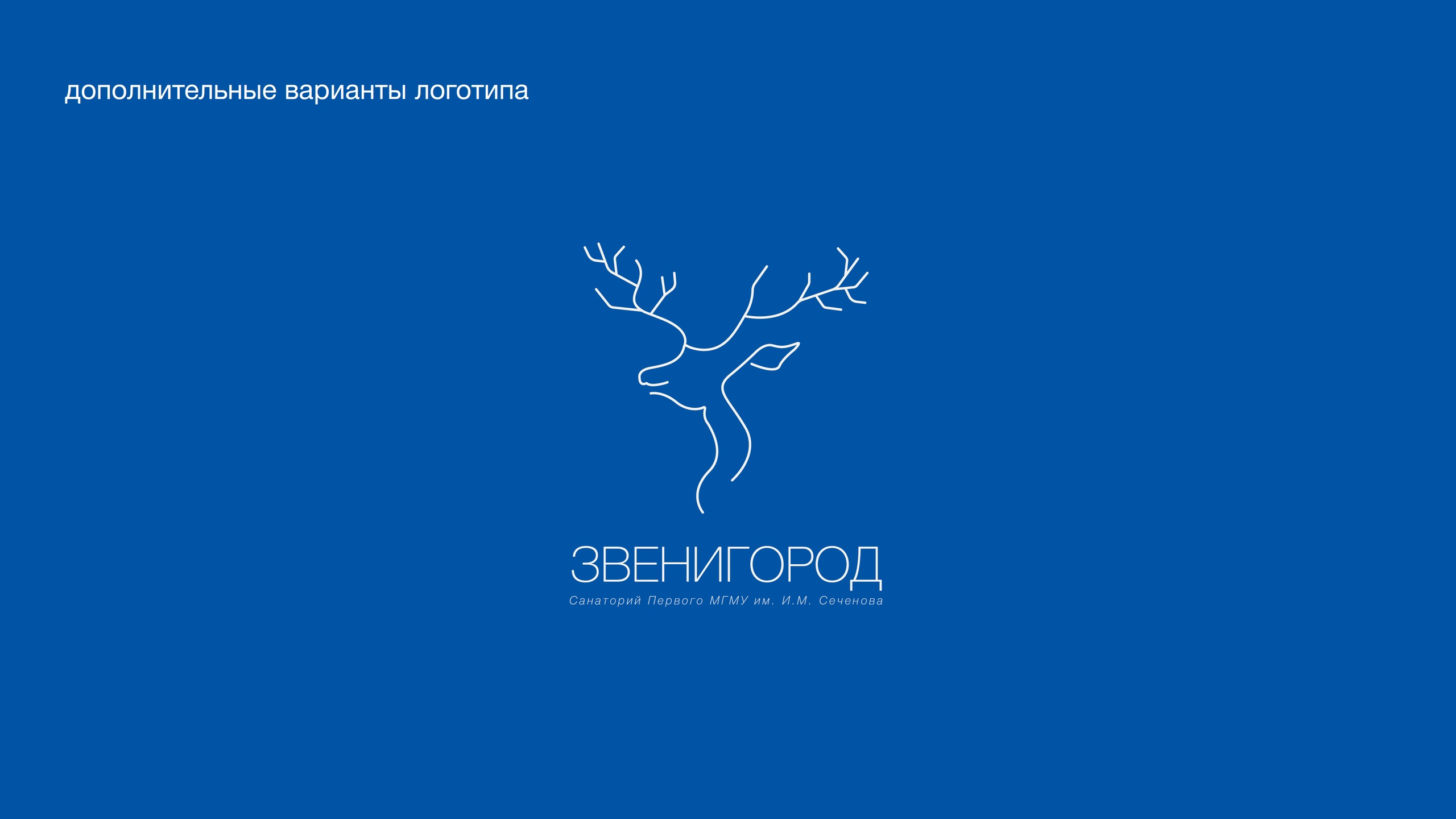 Санаторий "Звенигород" — Изображение №3 — Брендинг на Dprofile