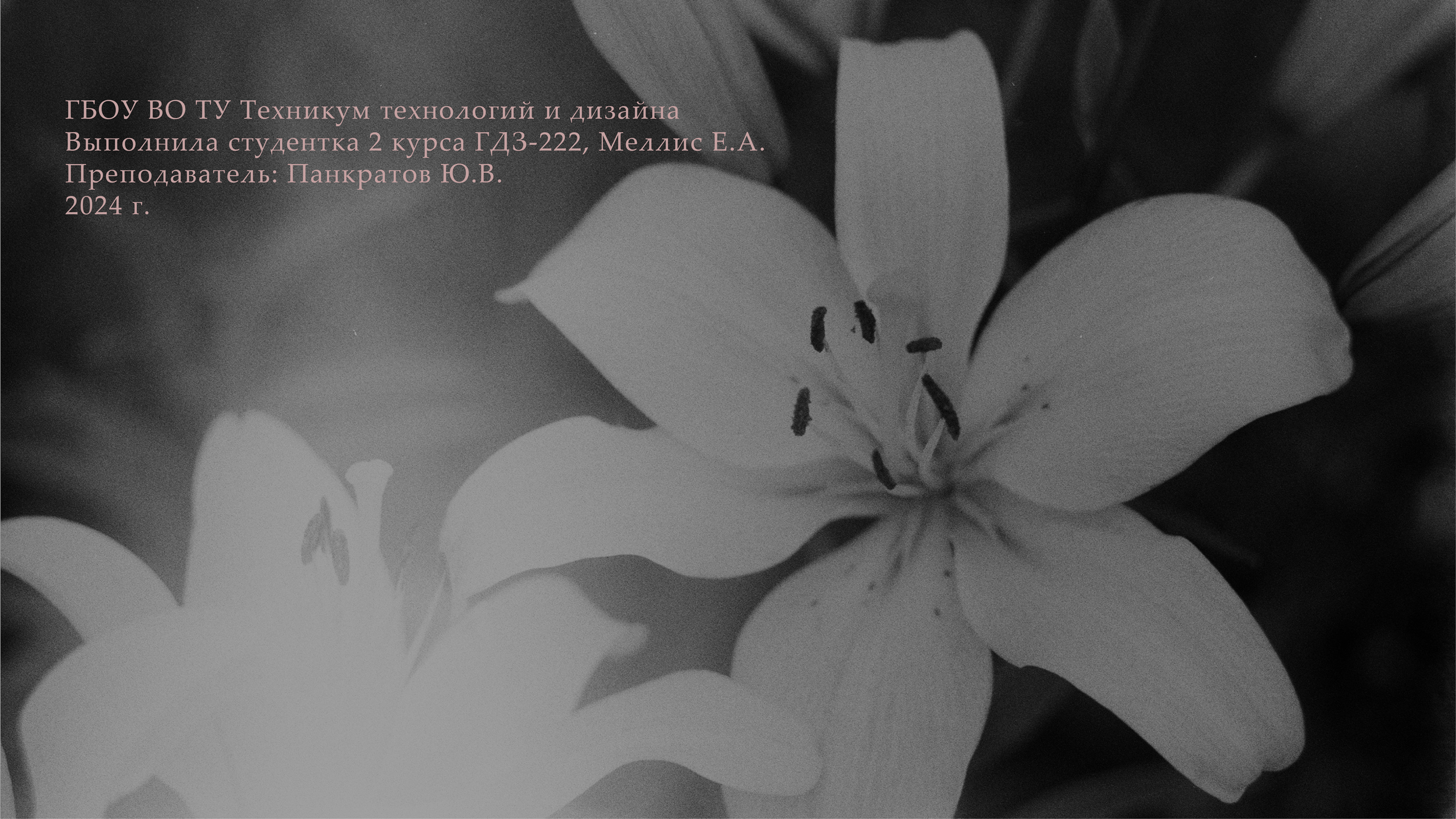 Салон цветов Lilya — Изображение №21 — Брендинг на Dprofile