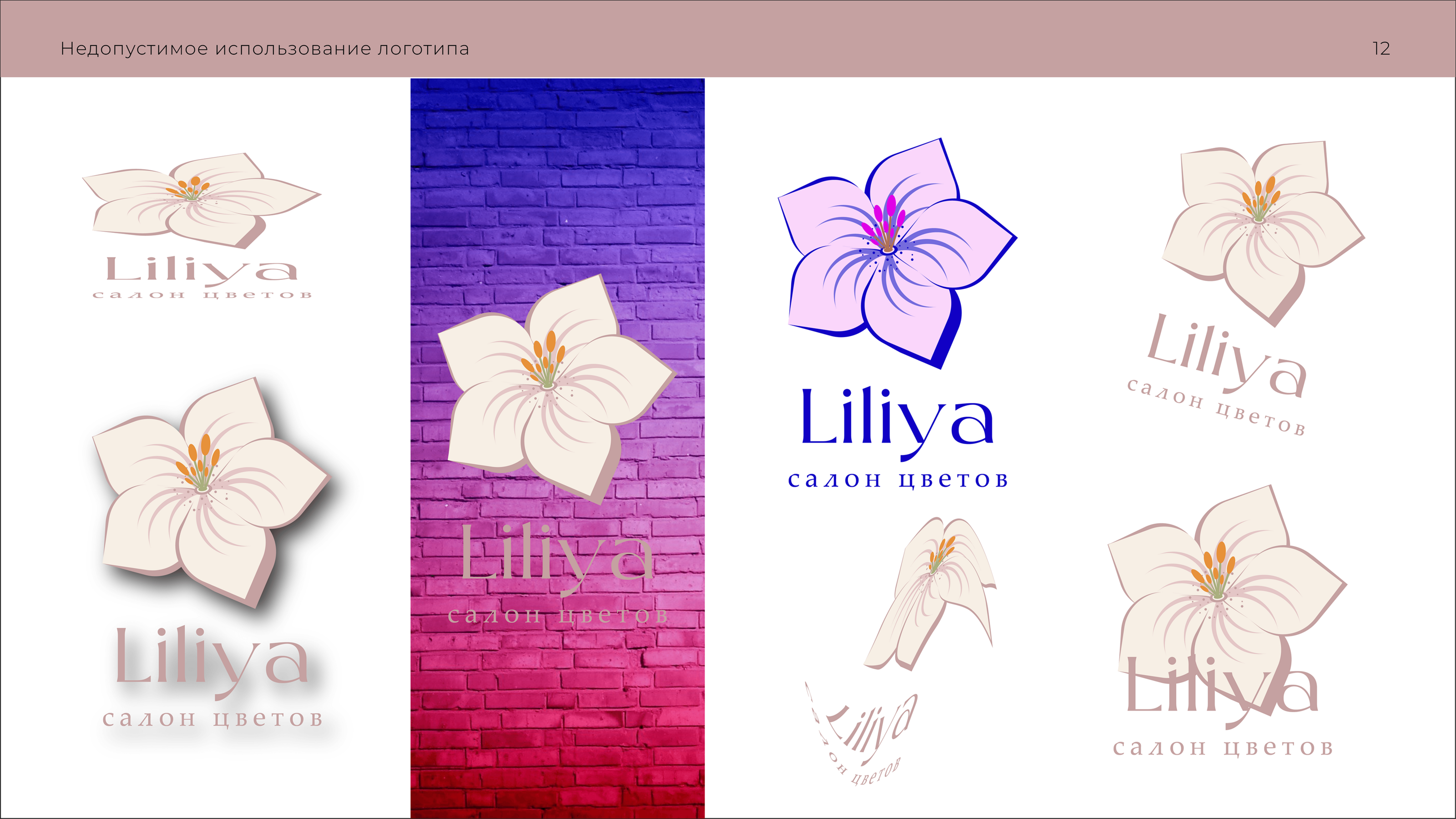 Салон цветов Lilya — Изображение №11 — Брендинг на Dprofile