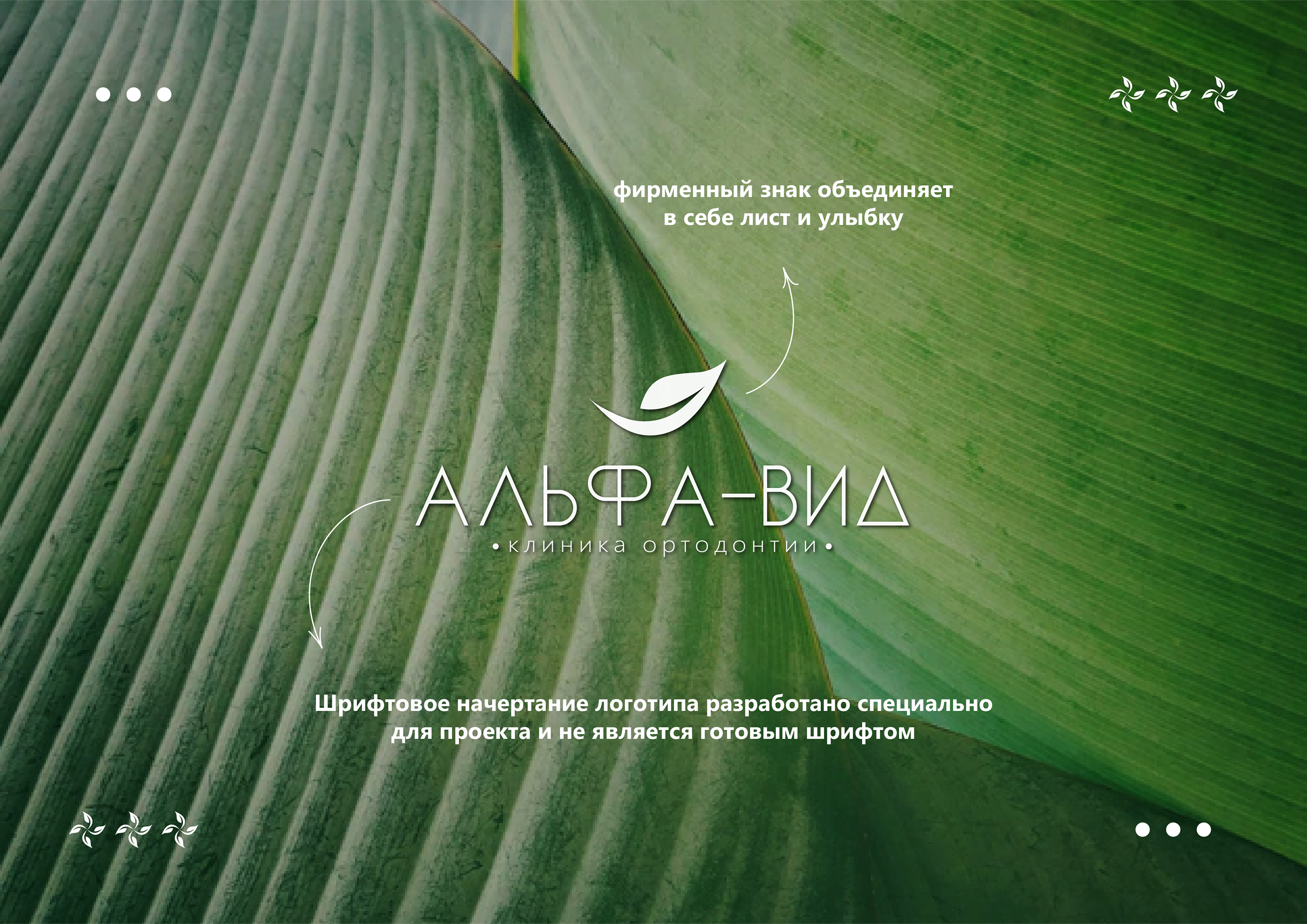 Логотип Альфа-вид / Фирменный стиль / Logotype — Изображение №5 — Брендинг, Графика на Dprofile