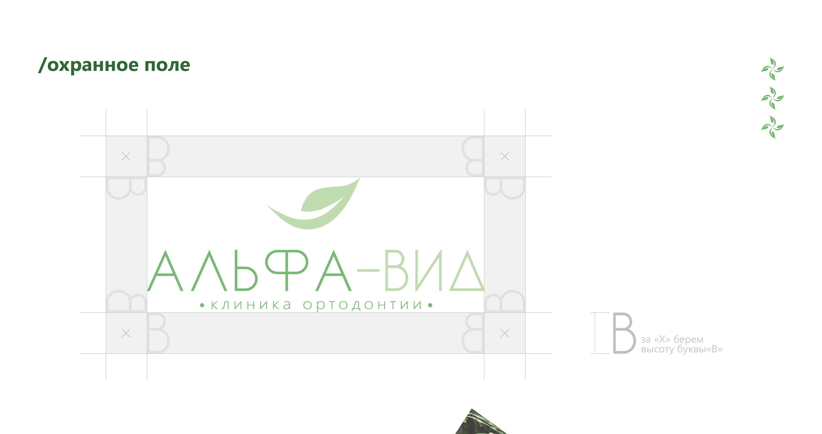 Логотип Альфа-вид / Фирменный стиль / Logotype — Изображение №6 — Брендинг, Графика на Dprofile