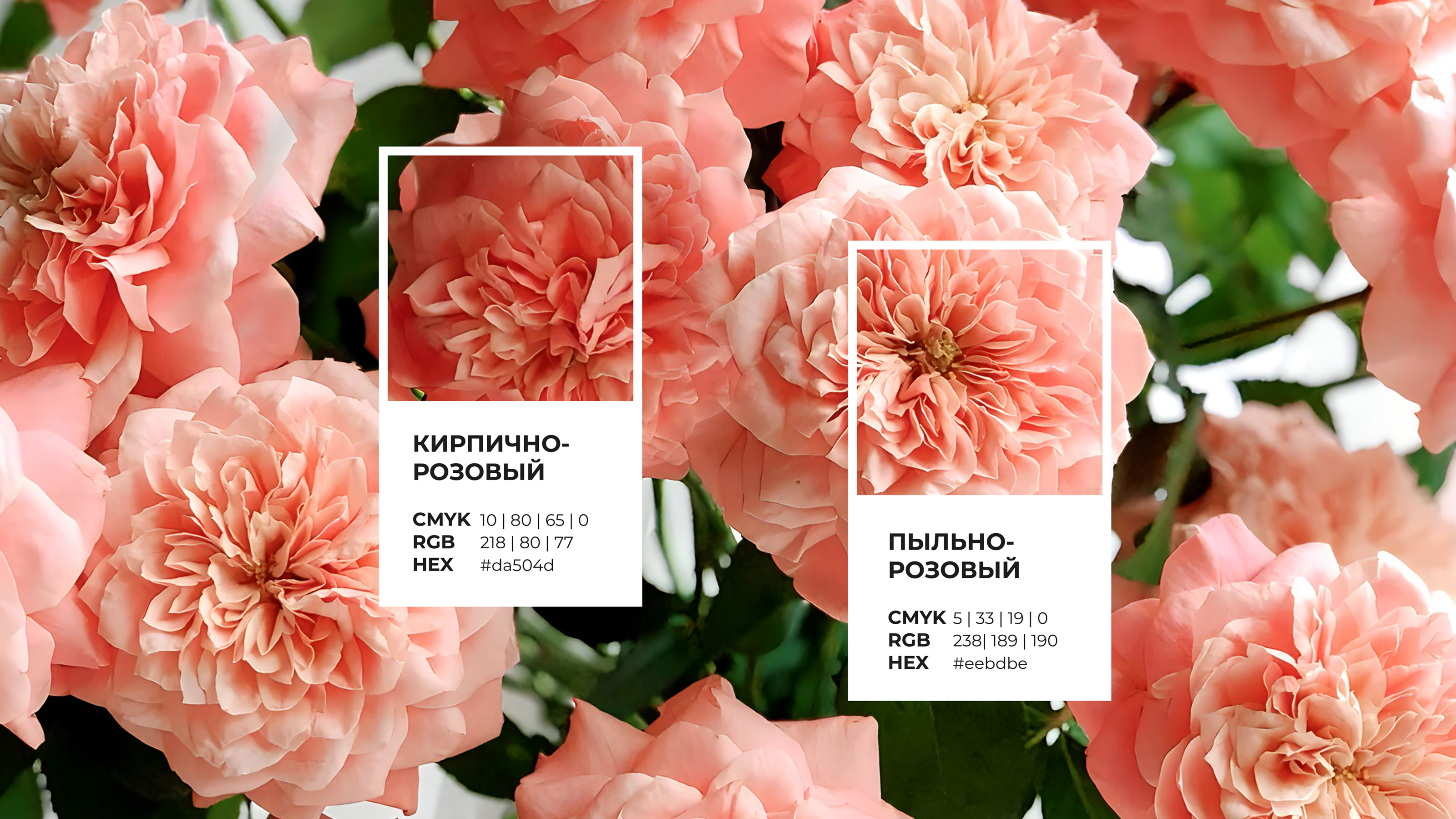 Cafe Arfe / кофейня в Ростове-на-Дону — Изображение №4 — Брендинг, Графика на Dprofile