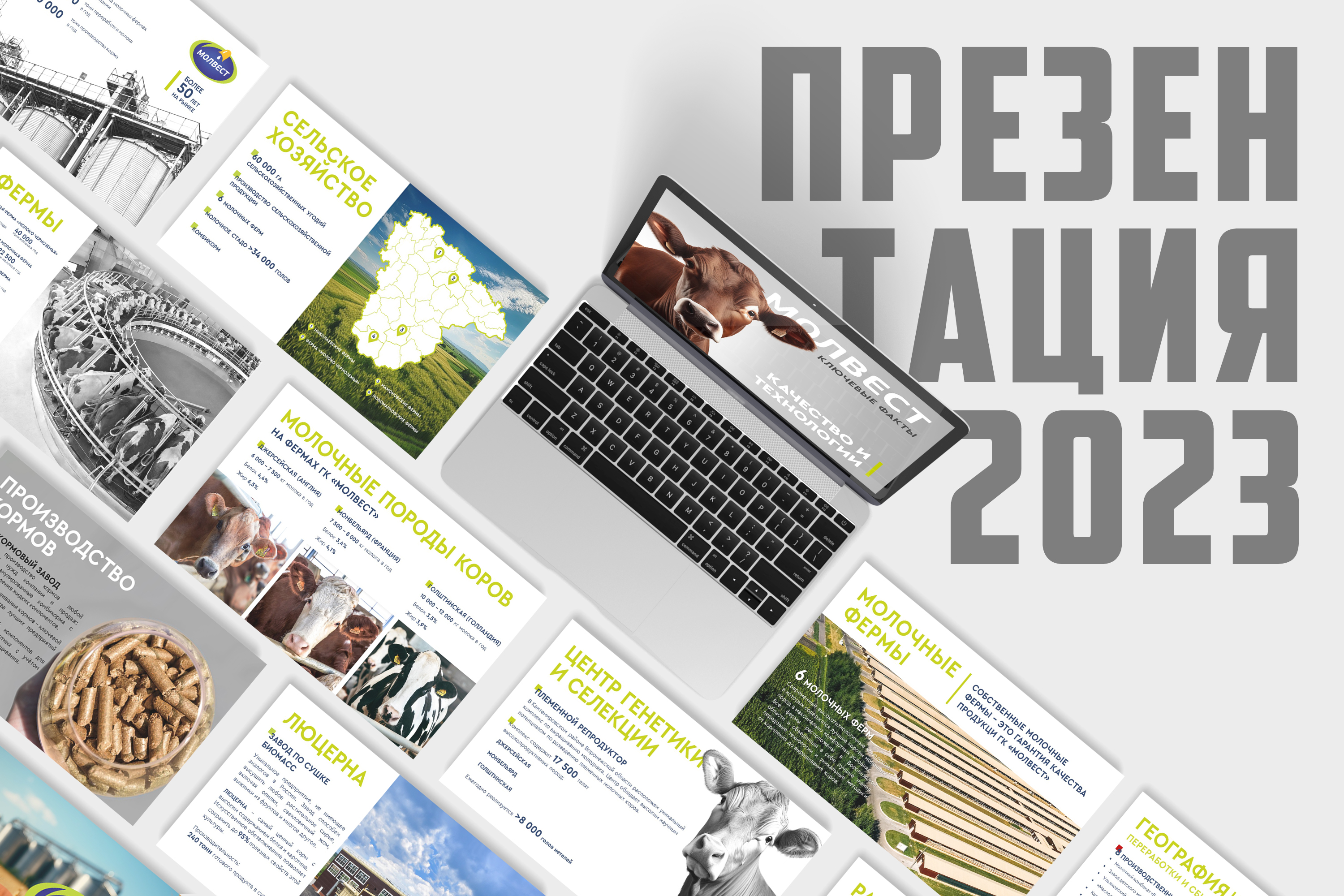 Презентация — Изображение №1 — Брендинг, Маркетинг на Dprofile