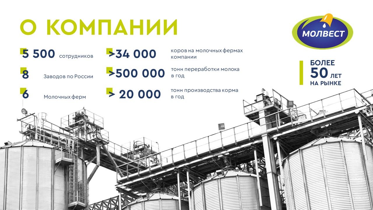 Презентация — Изображение №3 — Брендинг, Маркетинг на Dprofile