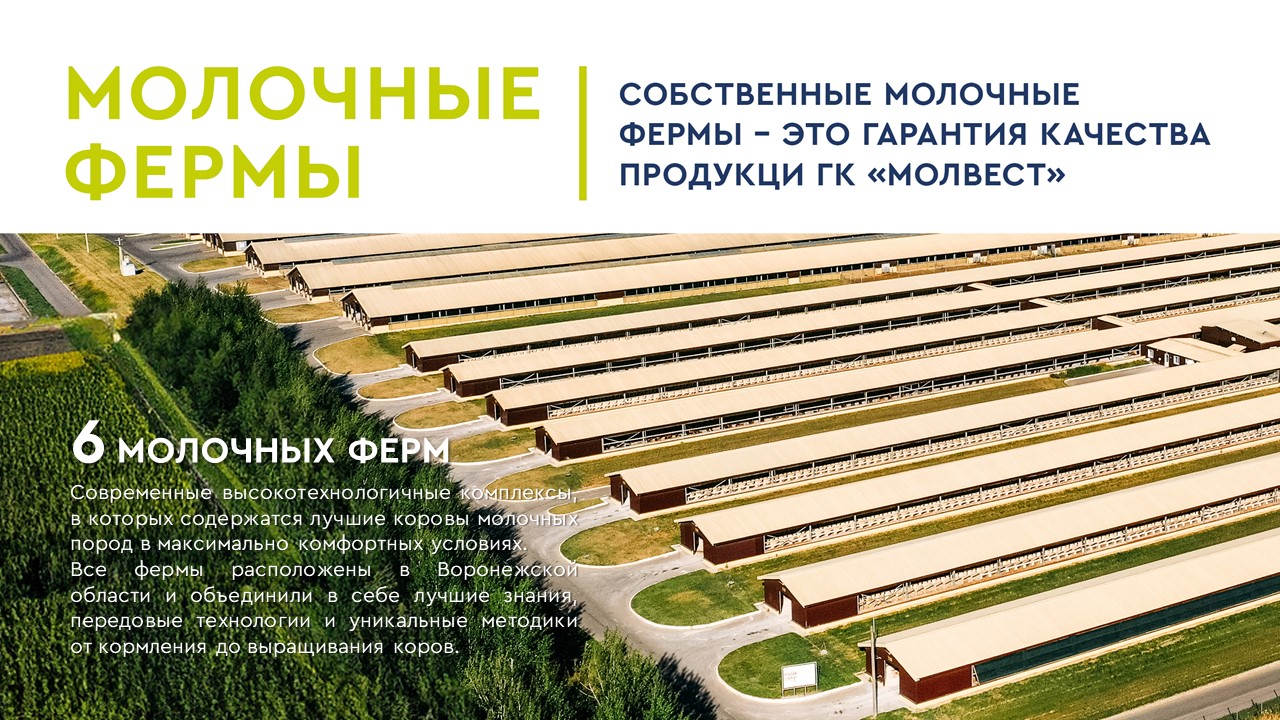 Презентация — Изображение №5 — Брендинг, Маркетинг на Dprofile