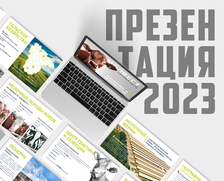 Презентация — Брендинг, Маркетинг на Dprofile